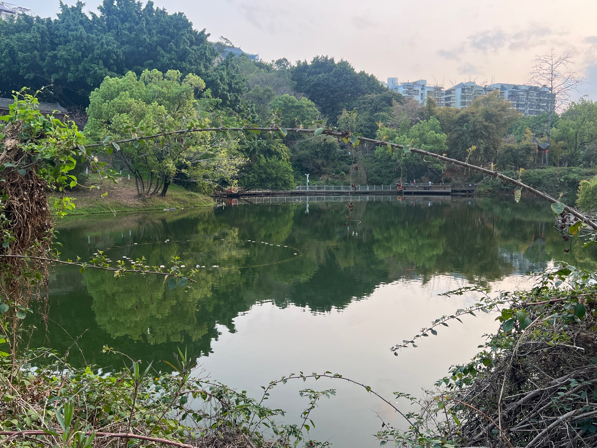 屏山公园旅行图片 2