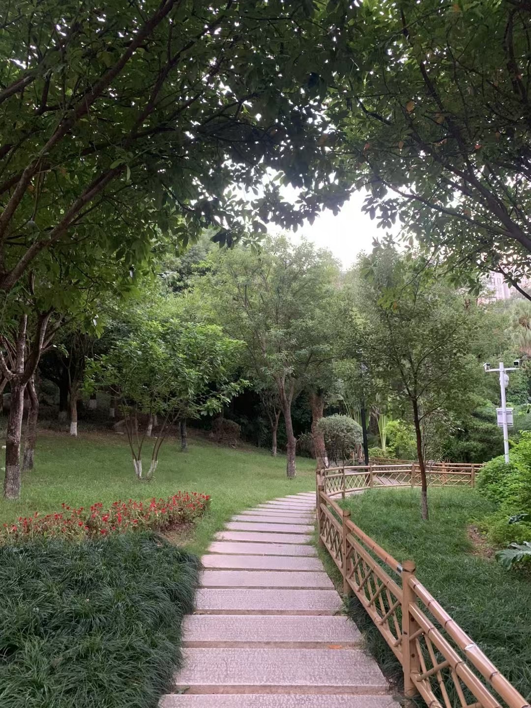 屏山公园旅行图片 1