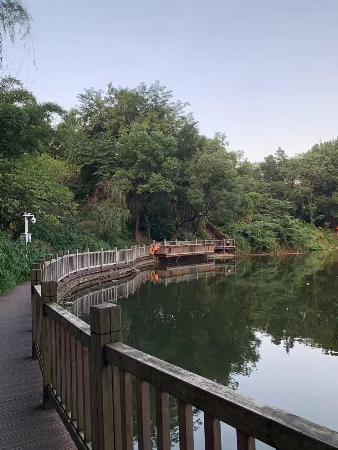 屏山公园旅行图片 3