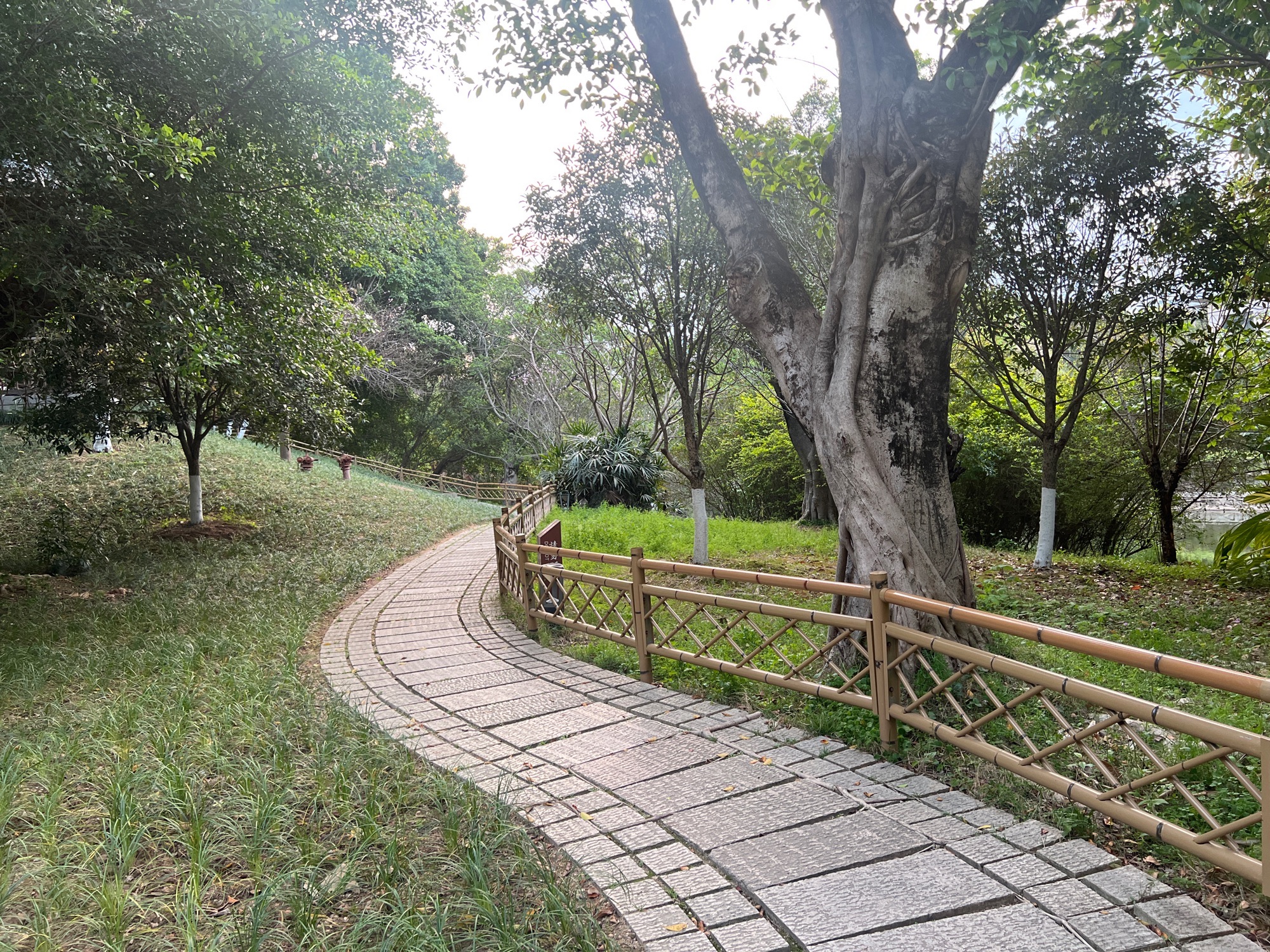屏山公园旅行图片 3