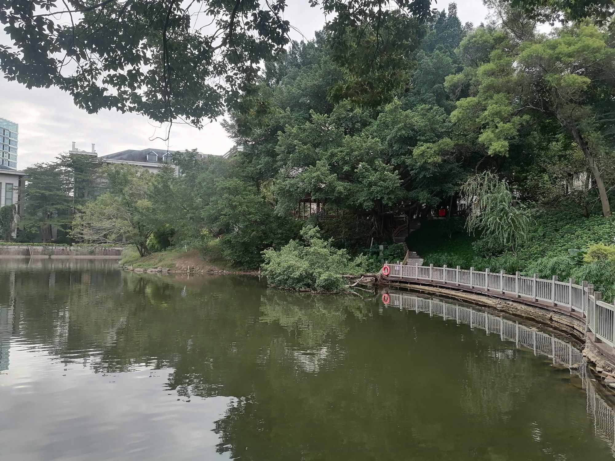 屏山公园旅行图片 3