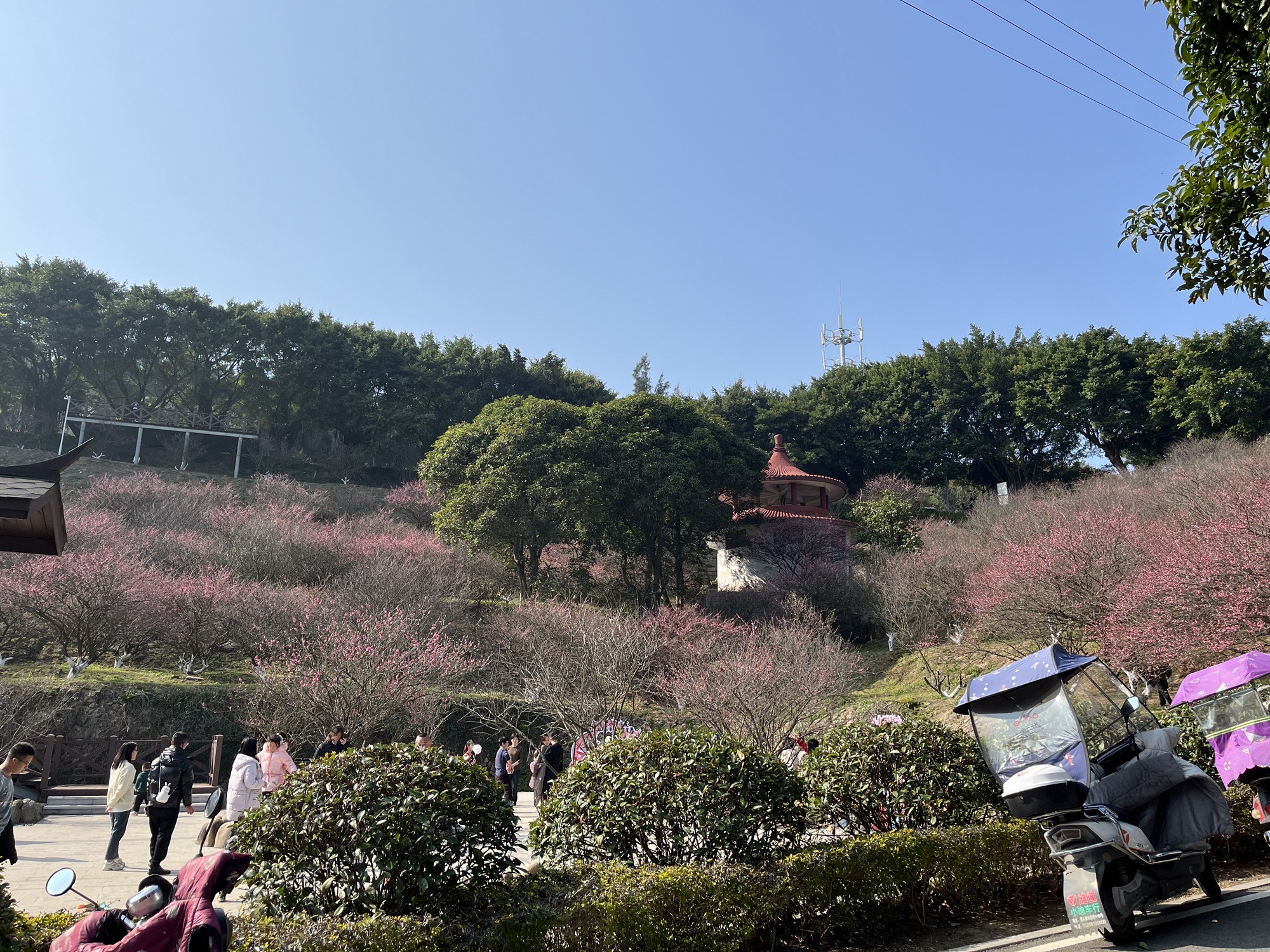 将军山公园旅行图片 1
