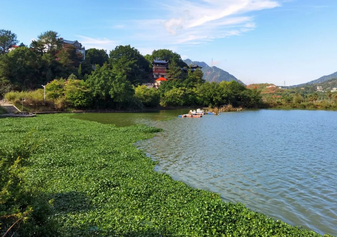 金水湖风景区旅行图片 1