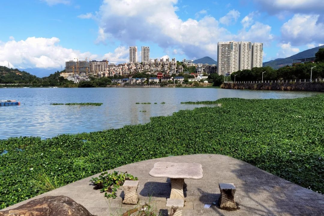 金水湖风景区旅行图片 2