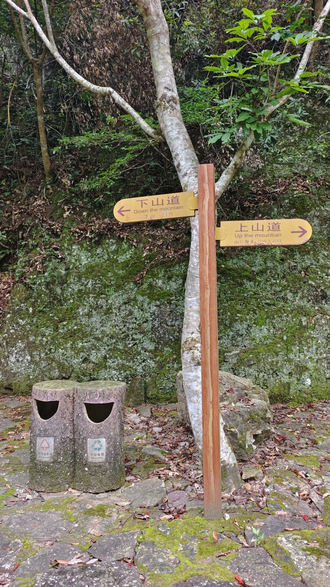 青云山景区旅行图片 3
