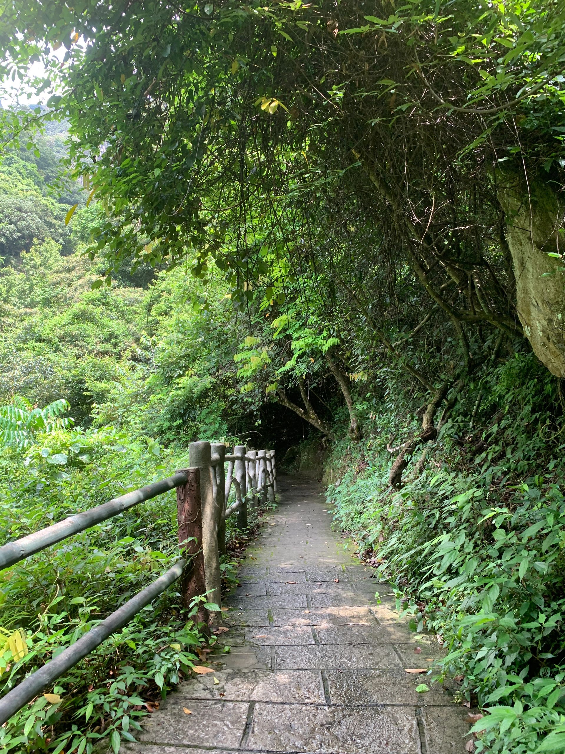 青云山景区旅行图片 3