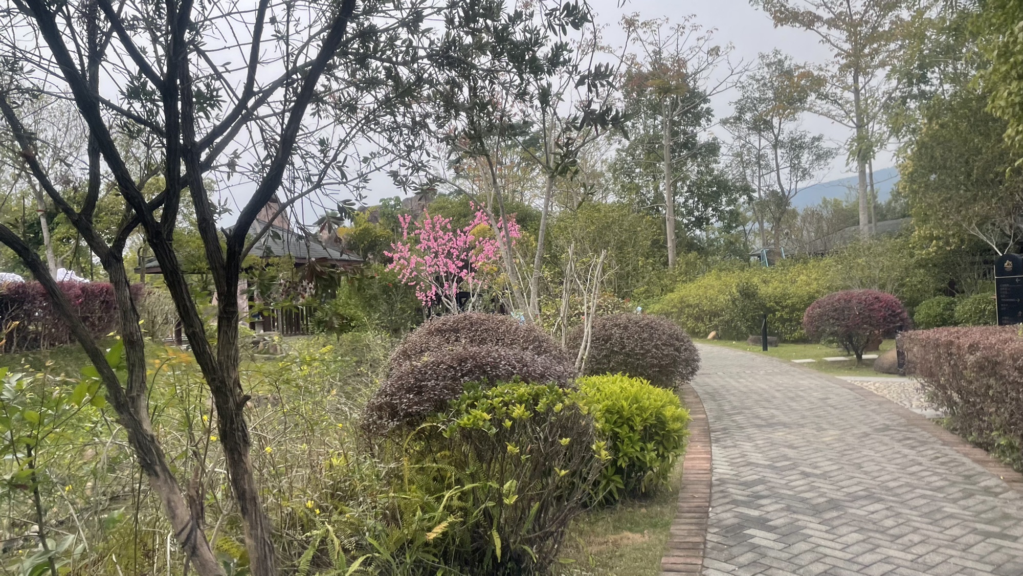贵安温泉旅游度假村旅行图片