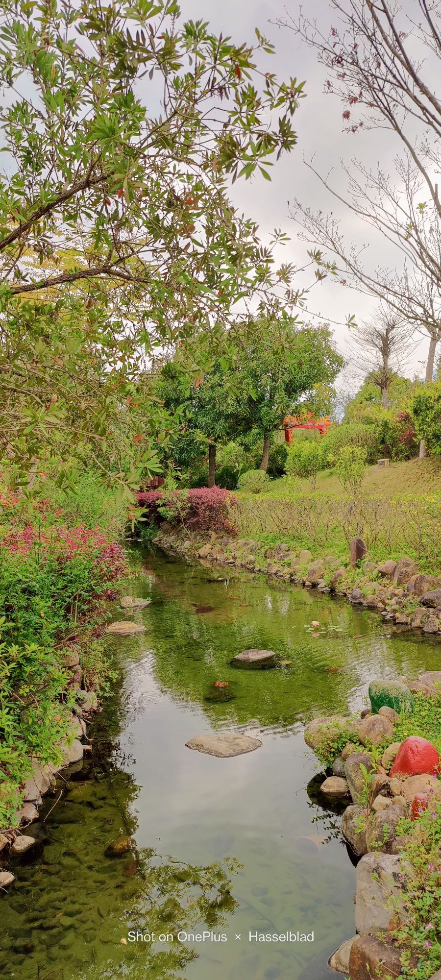 贵安温泉旅游度假村旅行图片 2