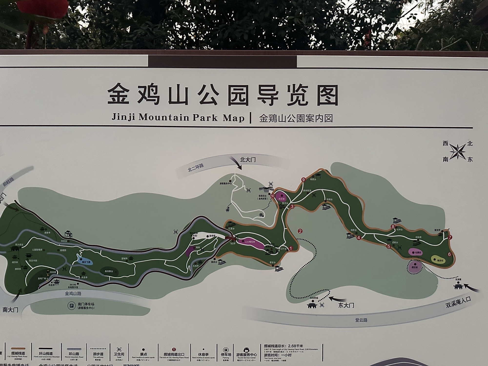 金鸡山公园旅行图片 2