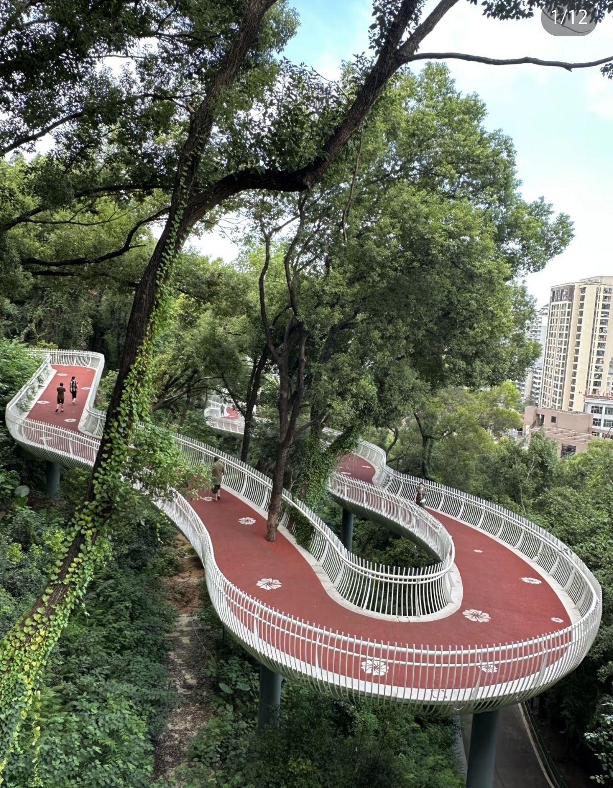 金鸡山公园旅行图片 1