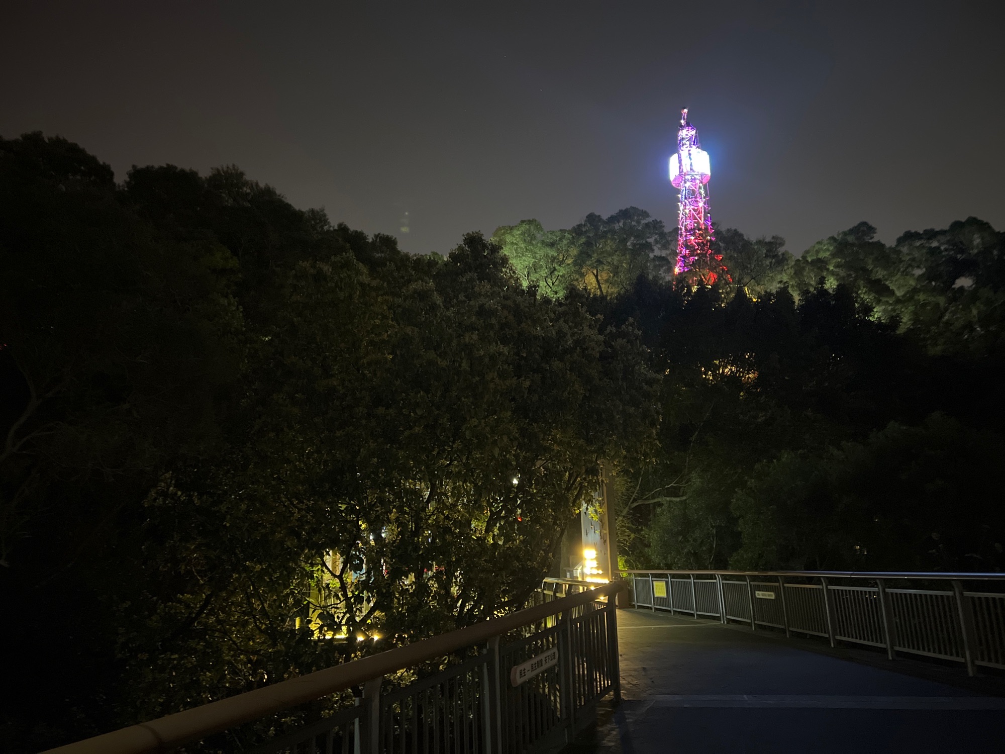 金鸡山公园旅行图片 3