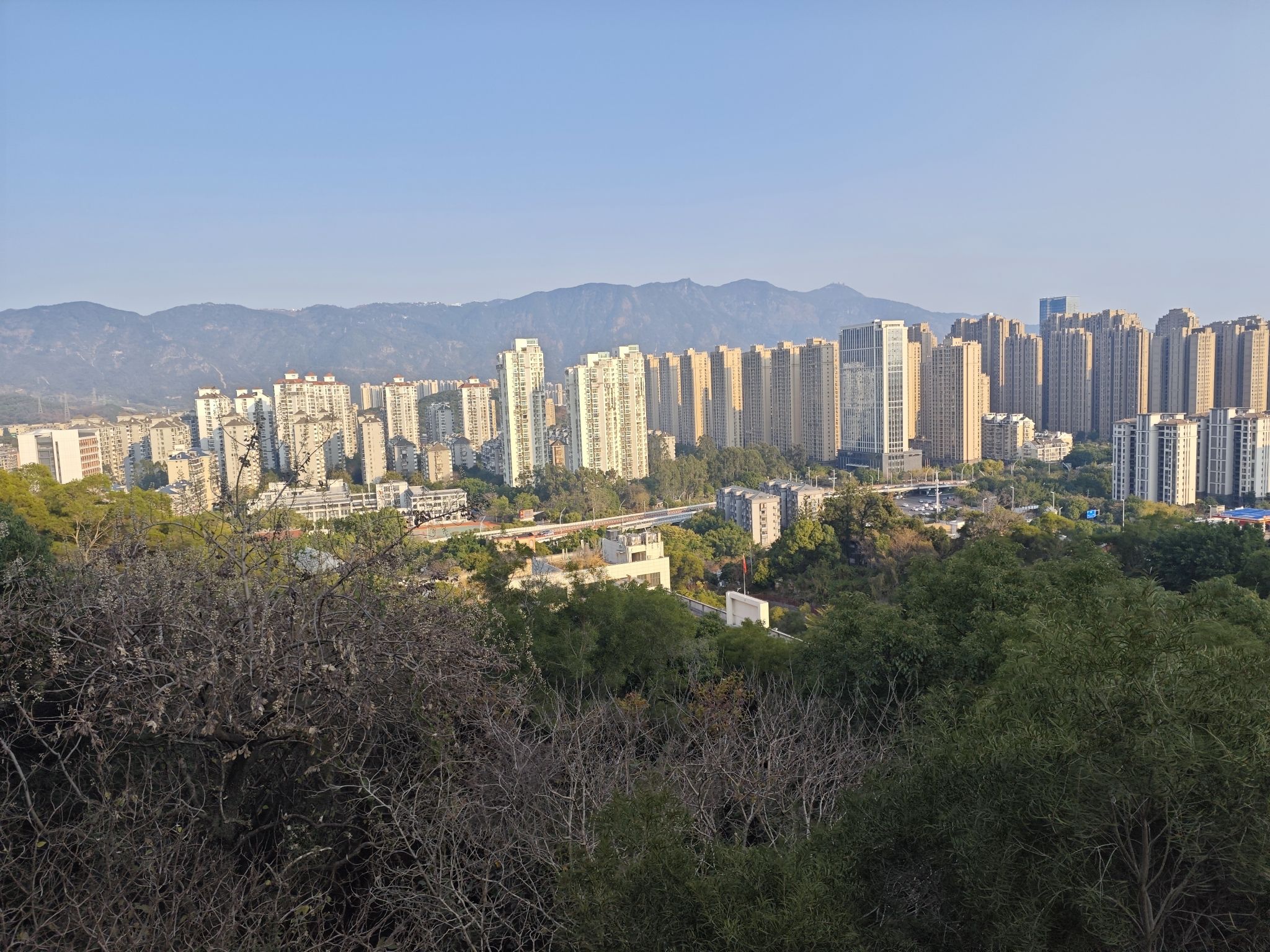金鸡山公园旅行图片 2