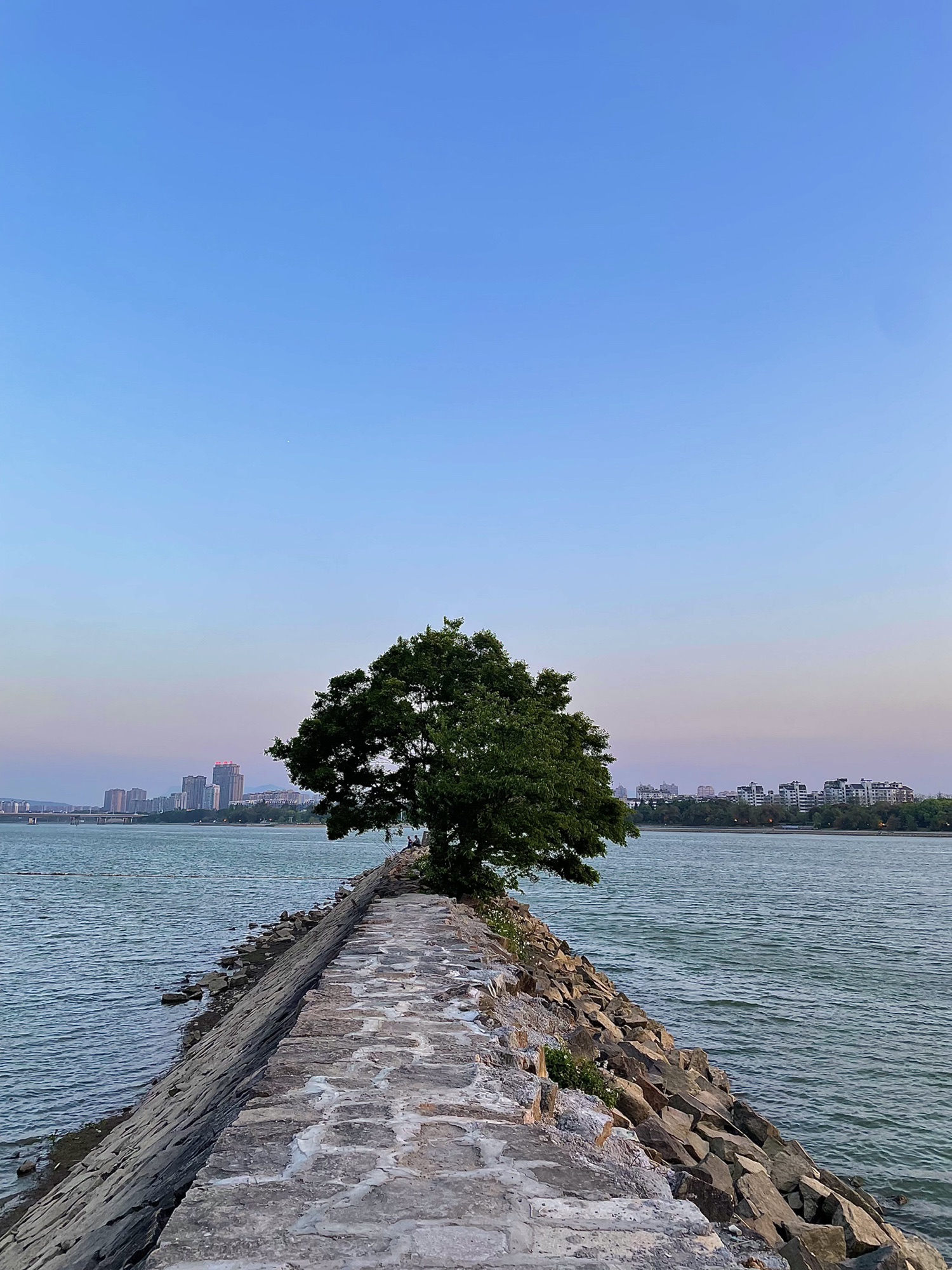 台江区江滨公园旅行图片 1