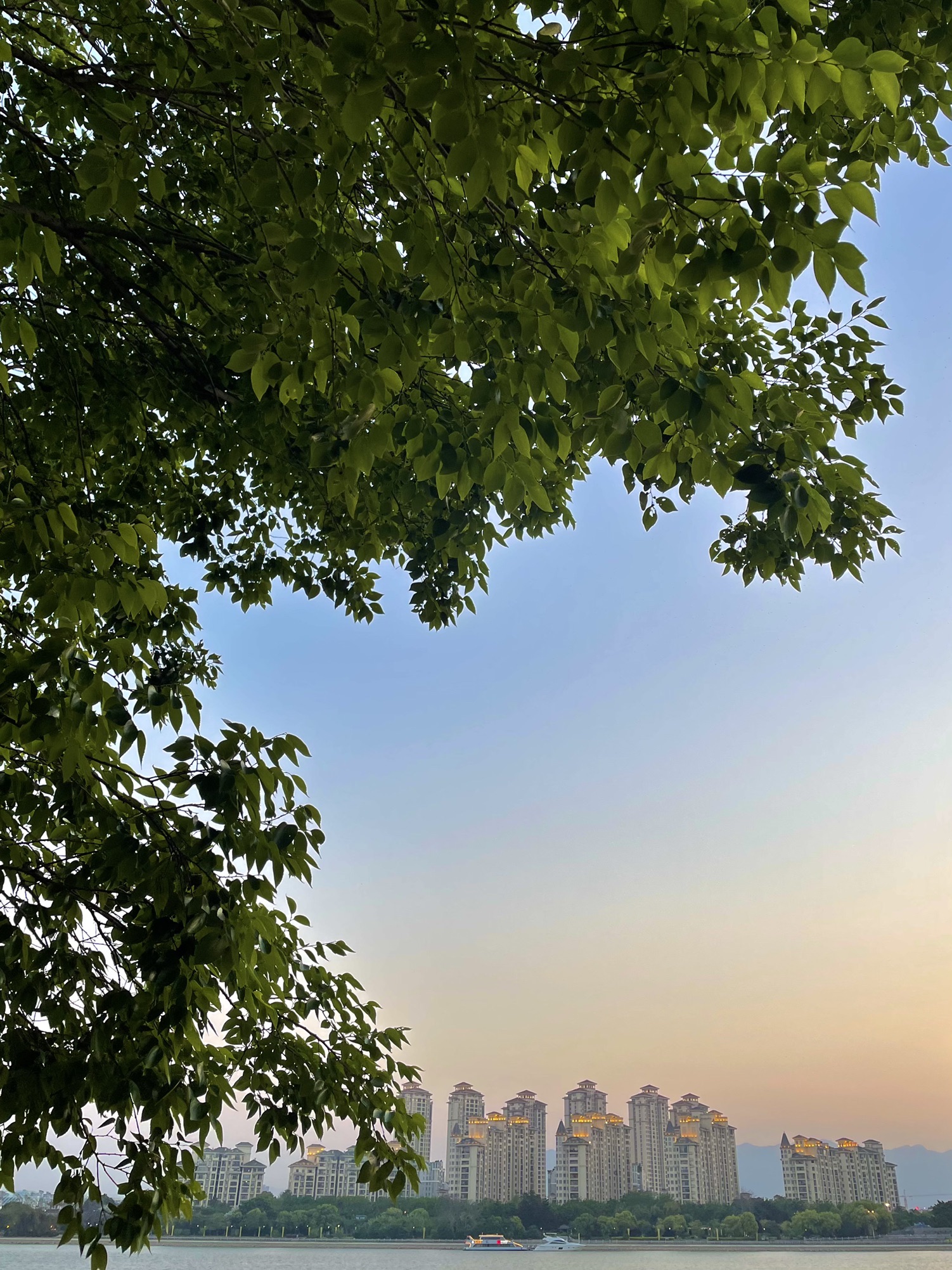 台江区江滨公园旅行图片 2