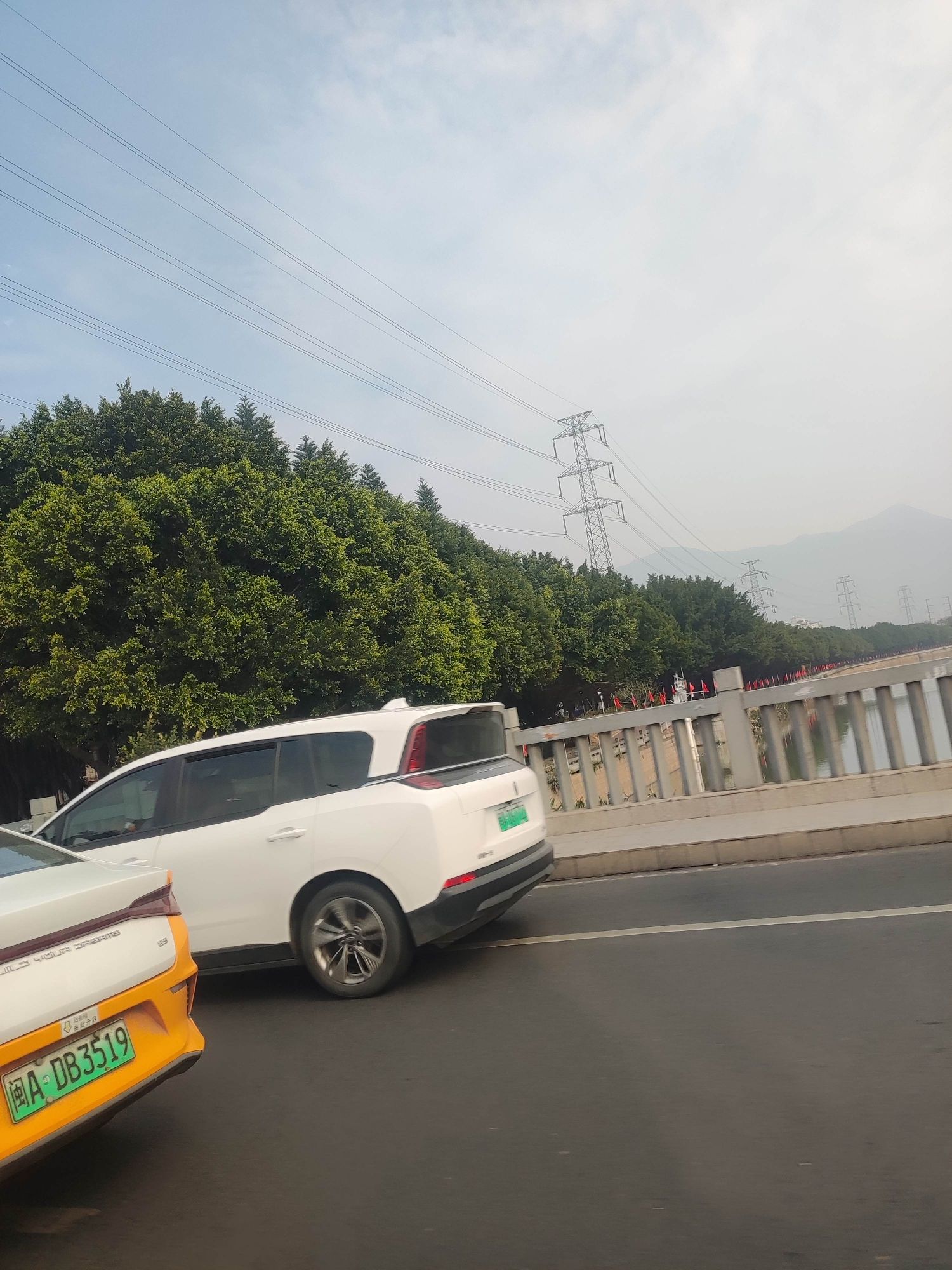 光明港公园旅行图片 3