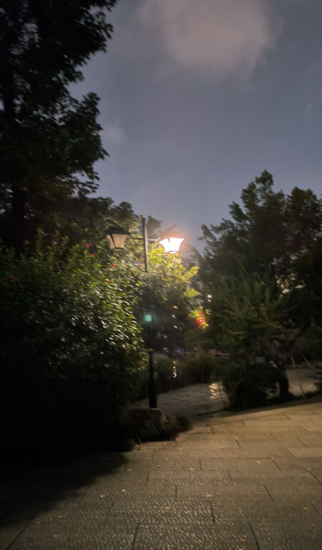 光明港公园旅行图片 2