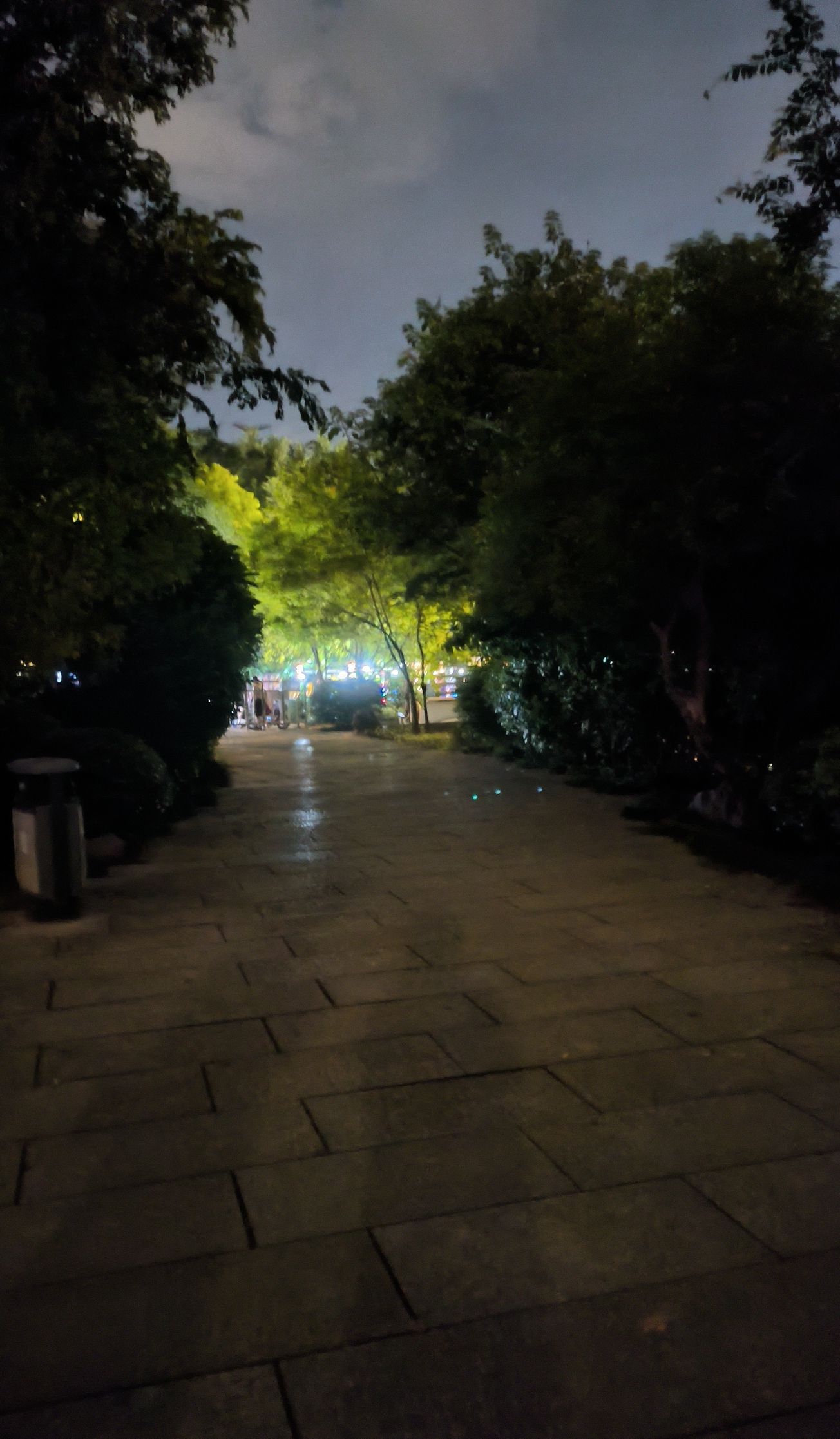 光明港公园旅行图片 1