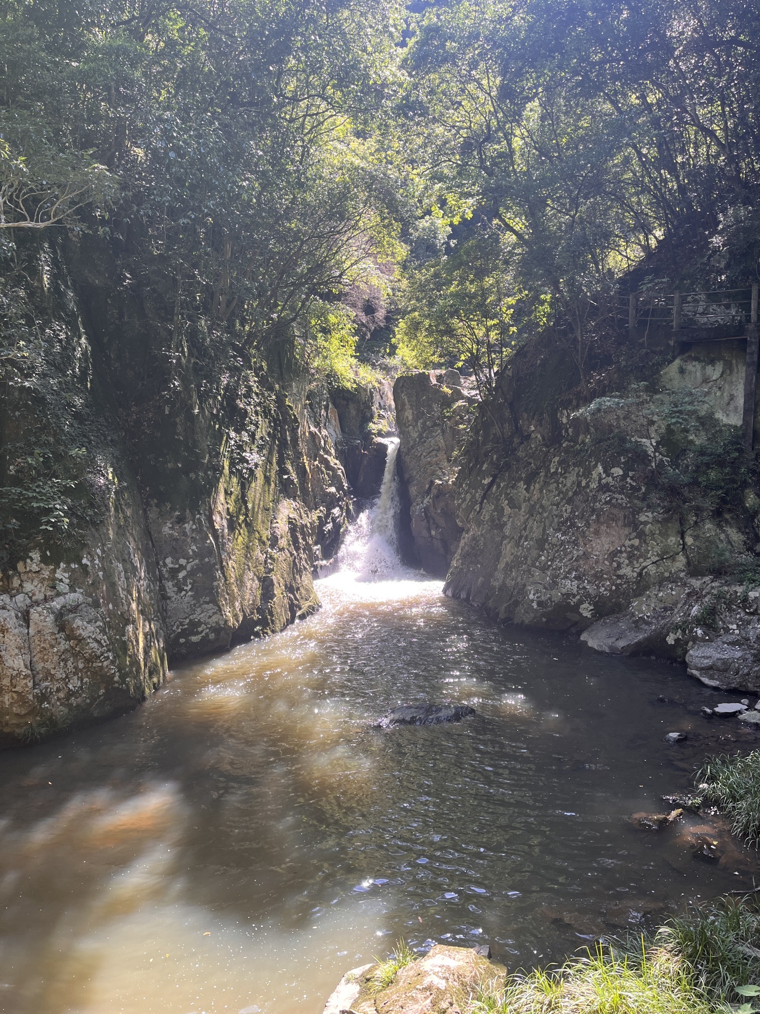 三叠井森林公园旅行图片 2