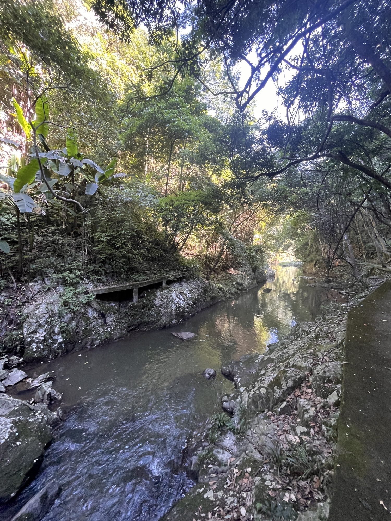三叠井森林公园旅行图片 3