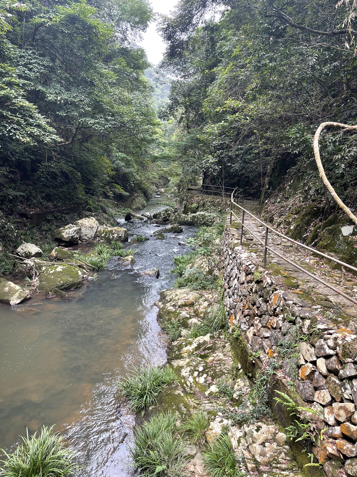 三叠井森林公园旅行图片 2