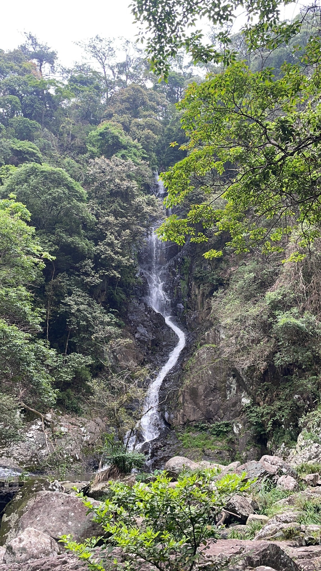 三叠井森林公园旅行图片 1