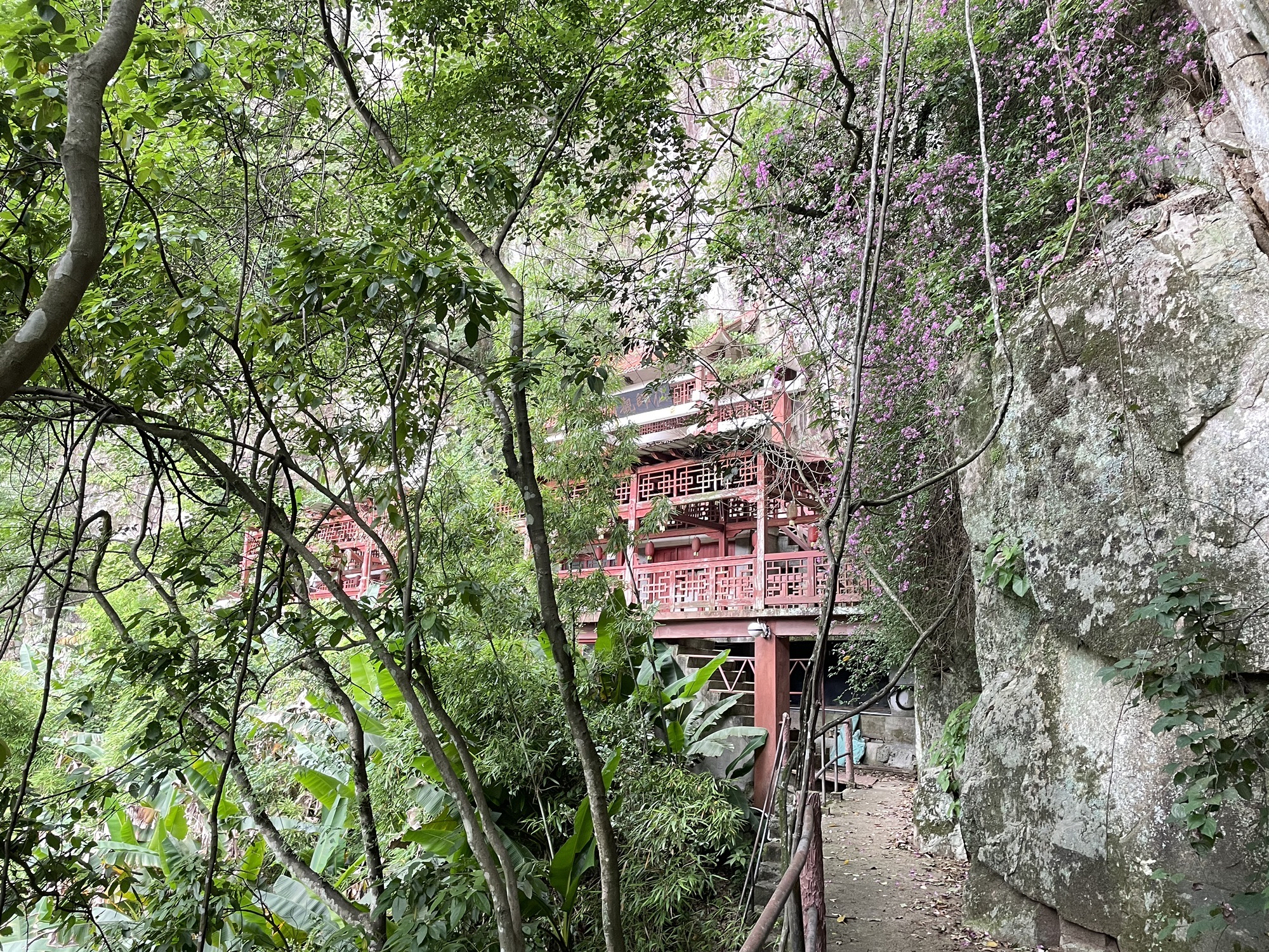三叠井森林公园旅行图片 3
