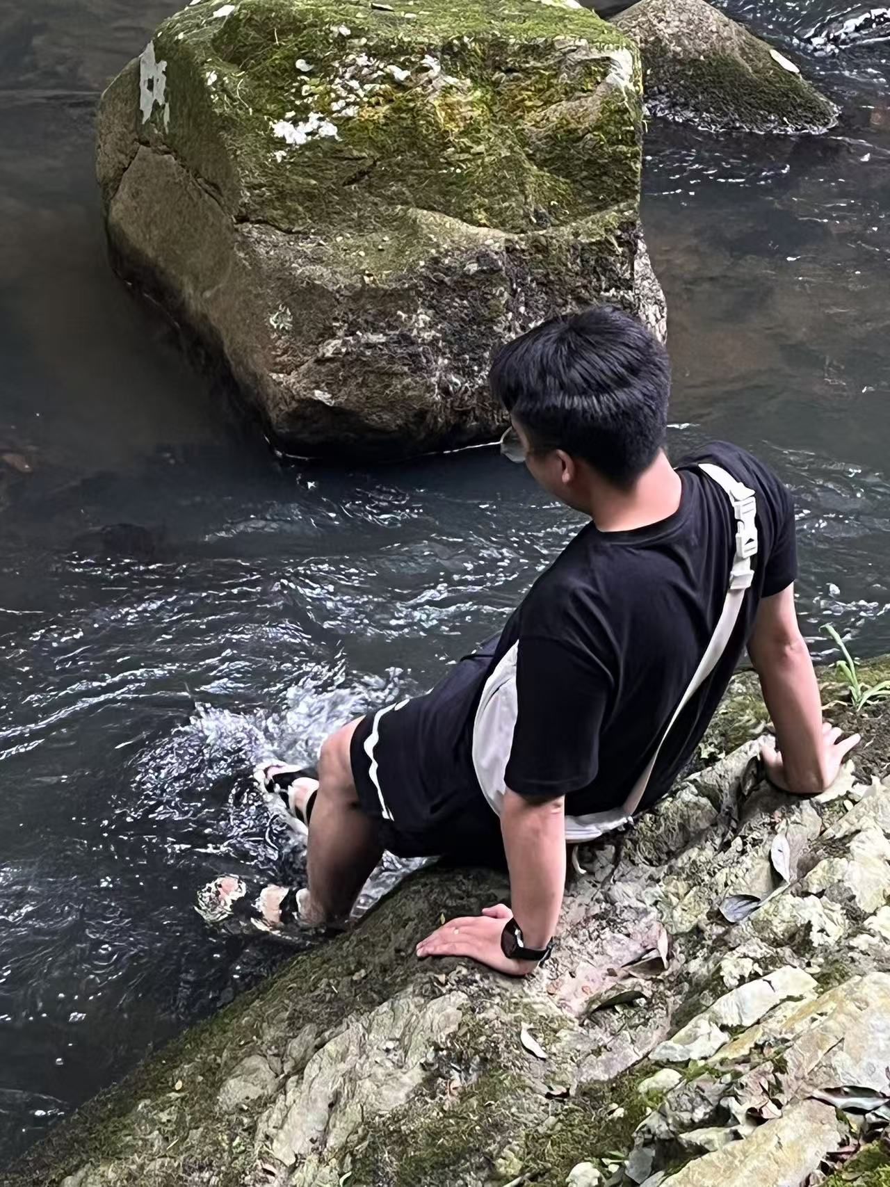 三叠井森林公园旅行图片 2