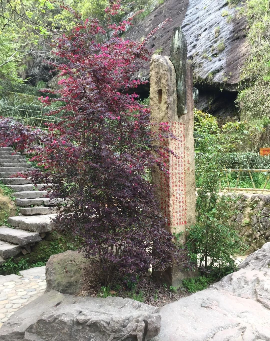 庐江公园旅行图片 1