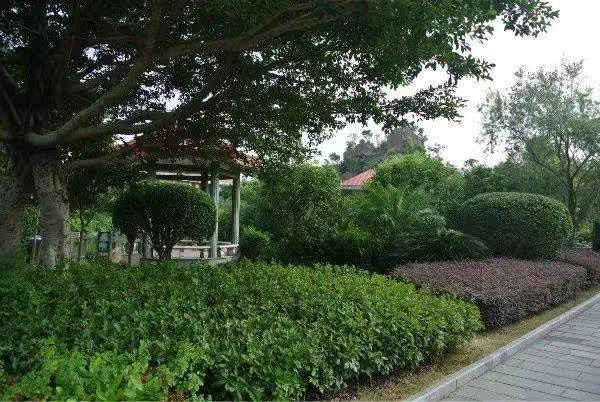洪春松涛园旅行图片 2