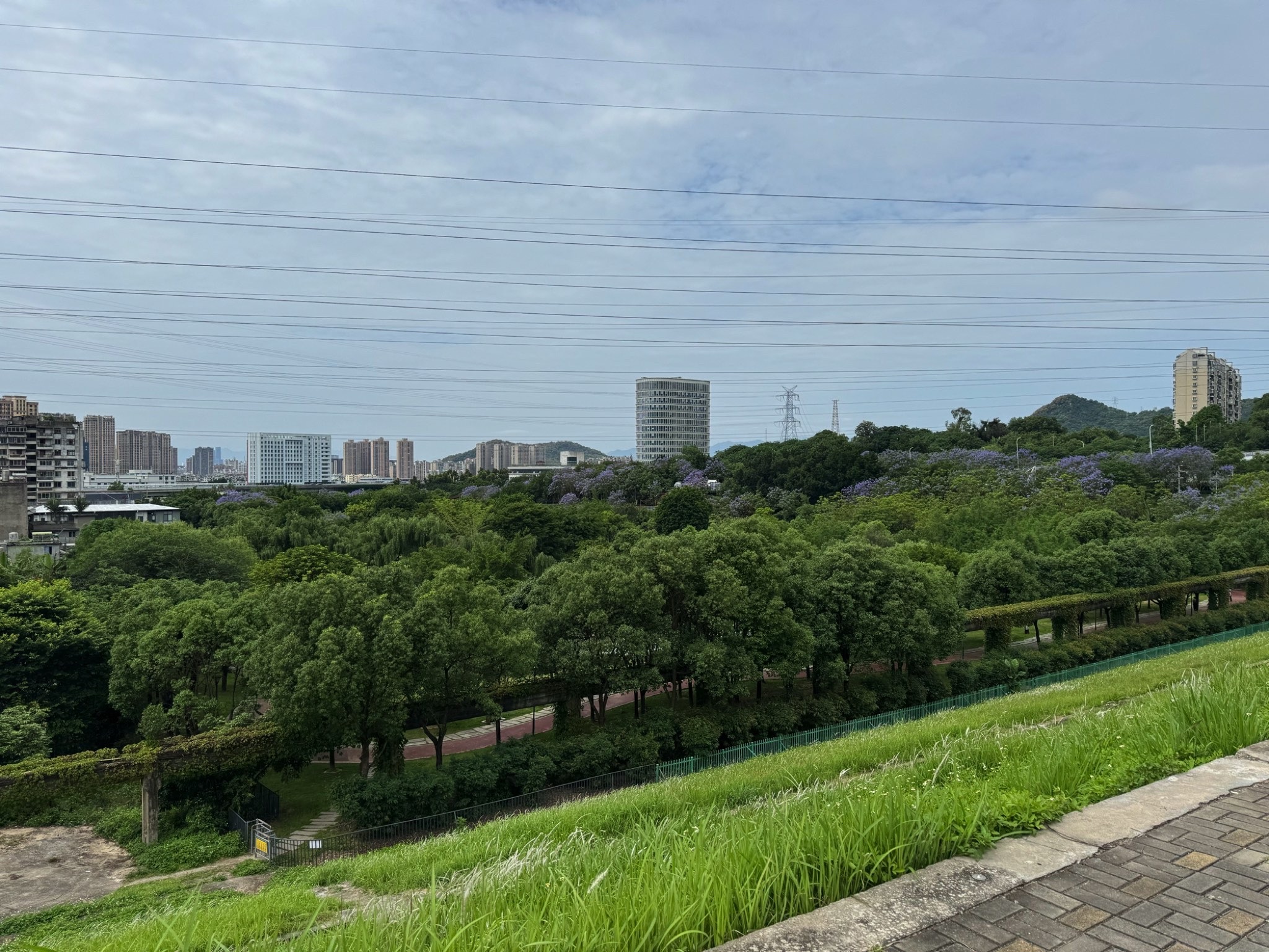 莲花山风景区旅行图片 2
