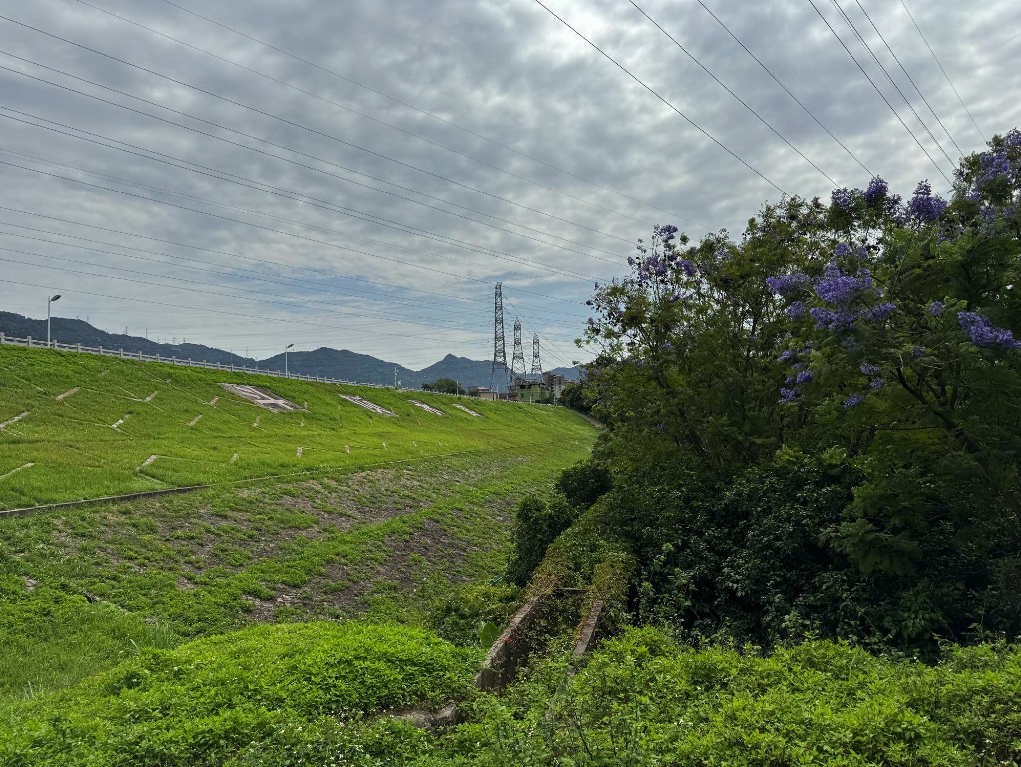 莲花山风景区旅行图片