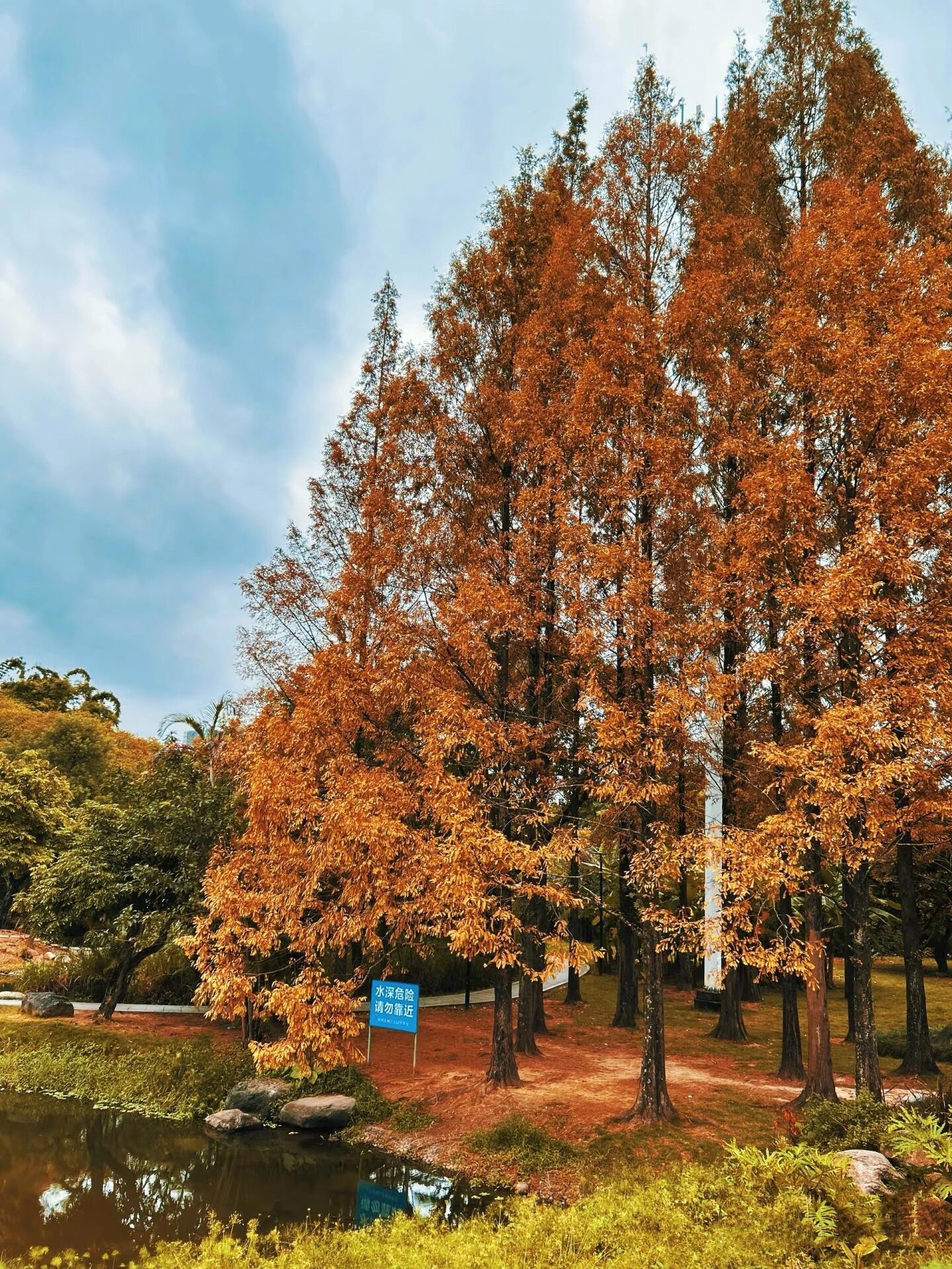 闽江公园旅行图片 3