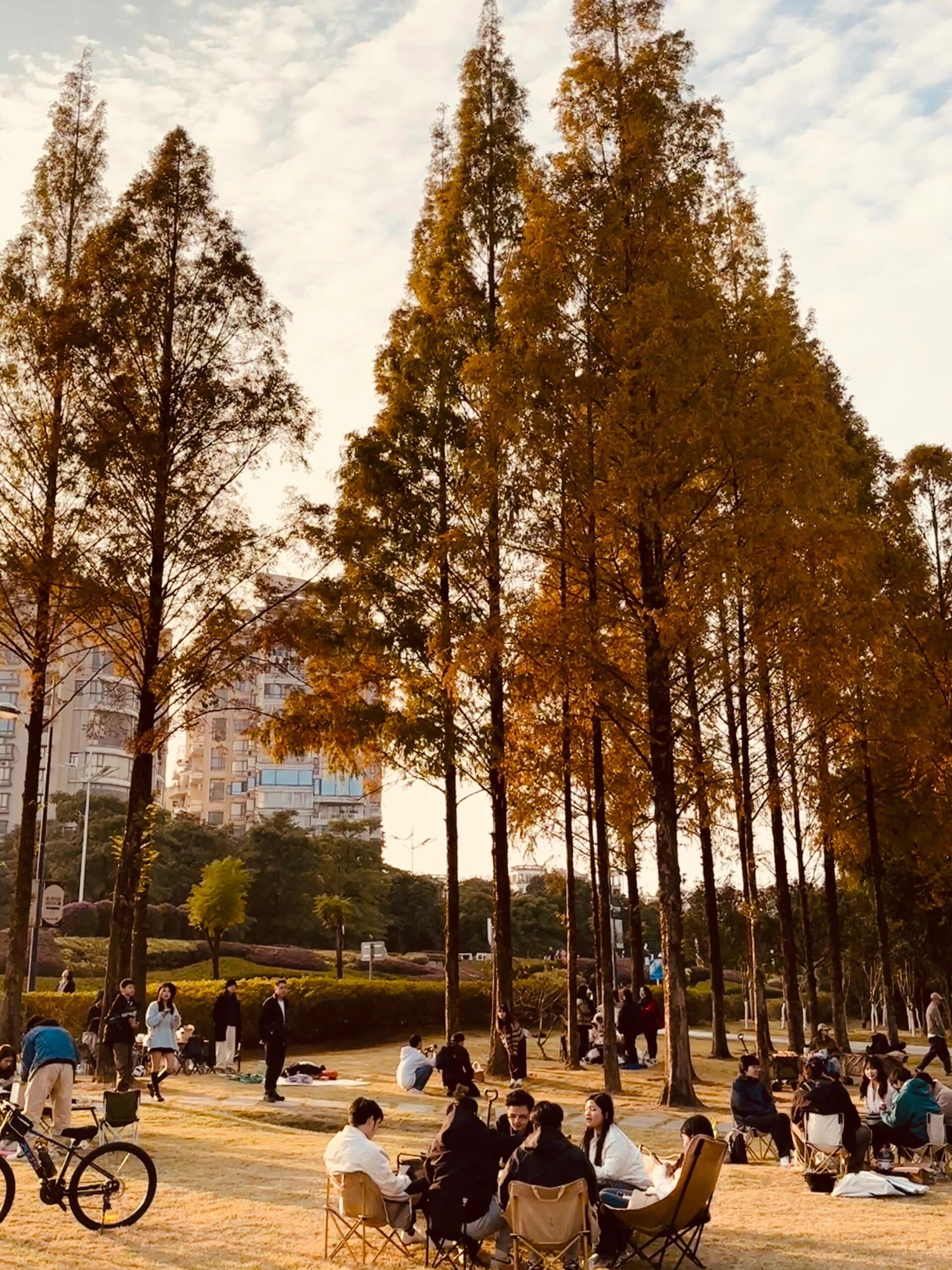 闽江公园旅行图片 1