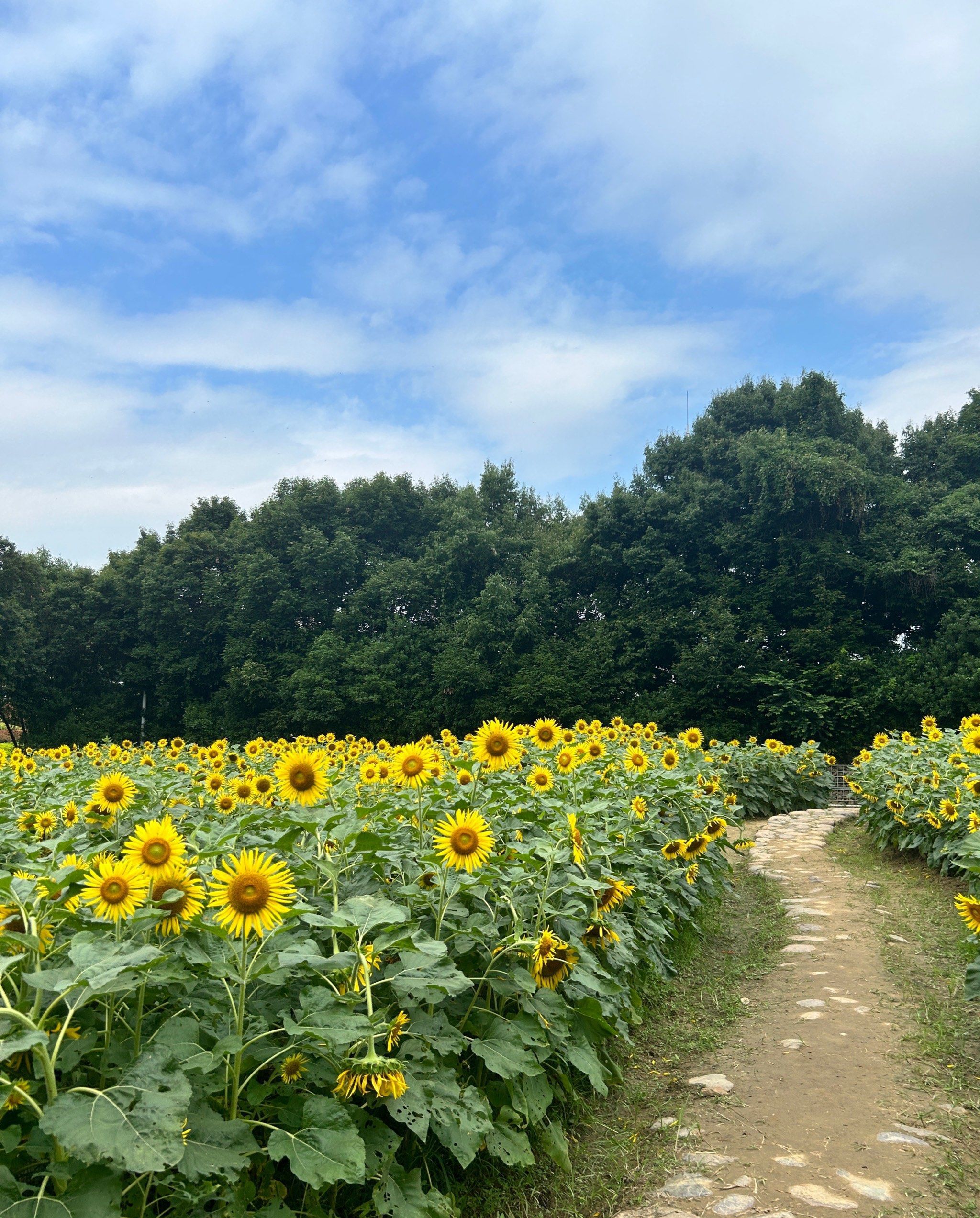 闽江公园旅行图片 2