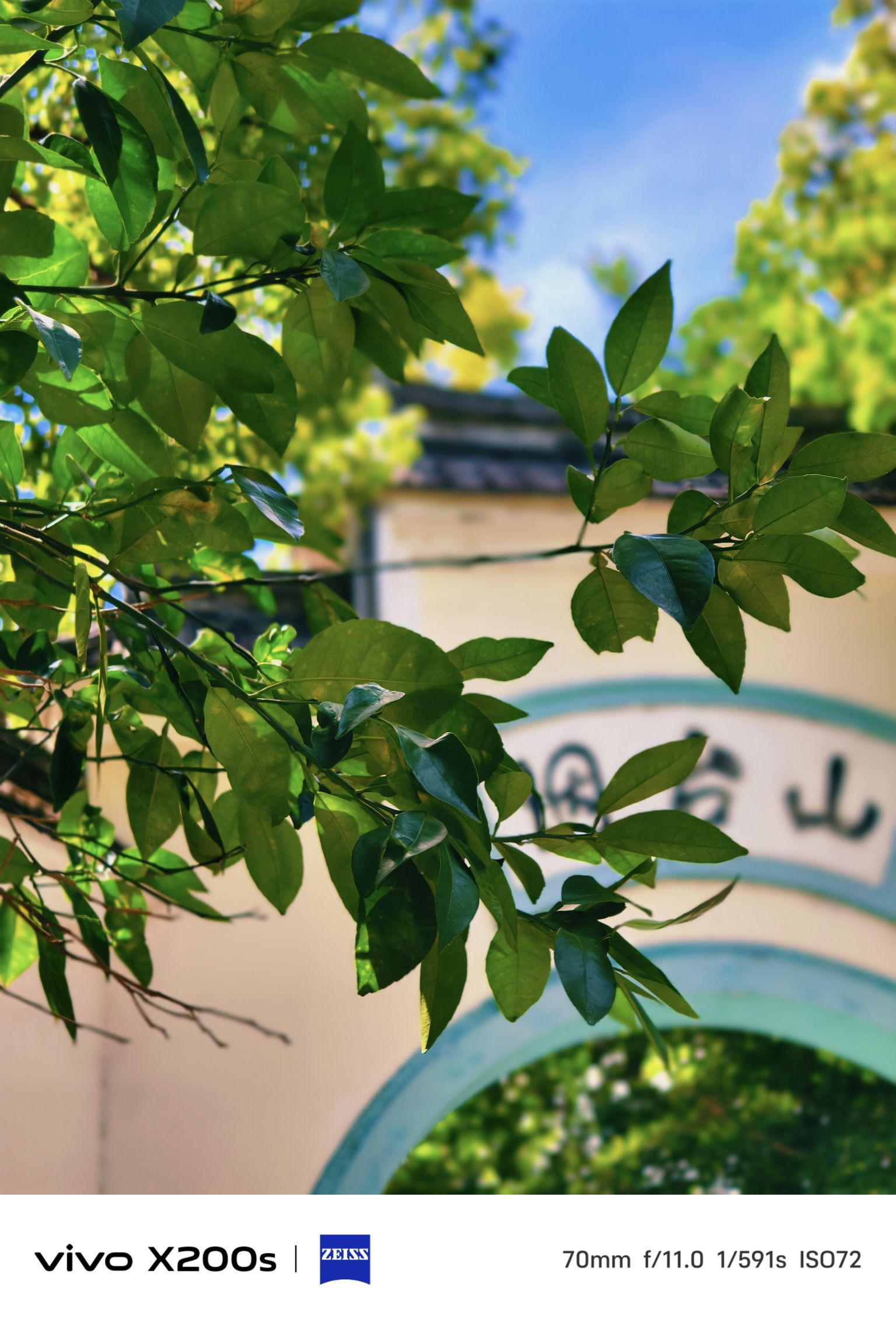 烟台山公园旅行图片 1
