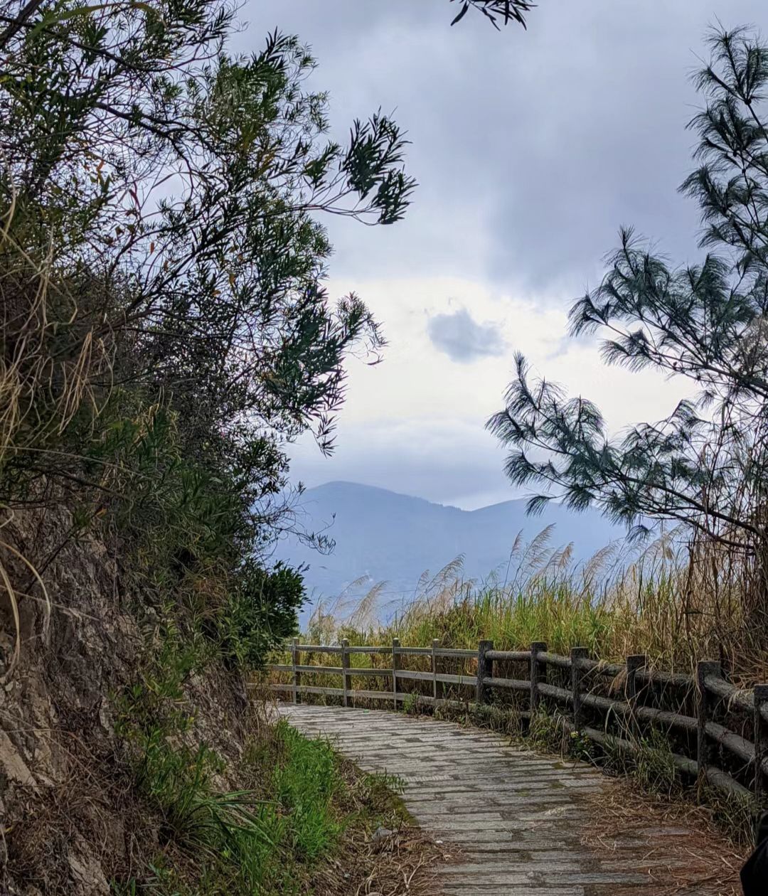 长安山公园旅行图片 2