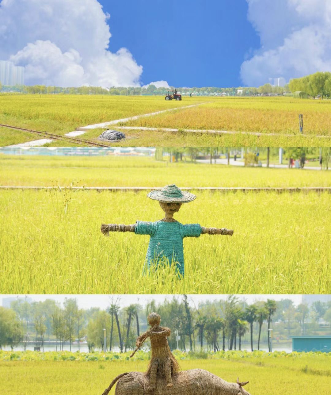 长安山公园旅行图片 3
