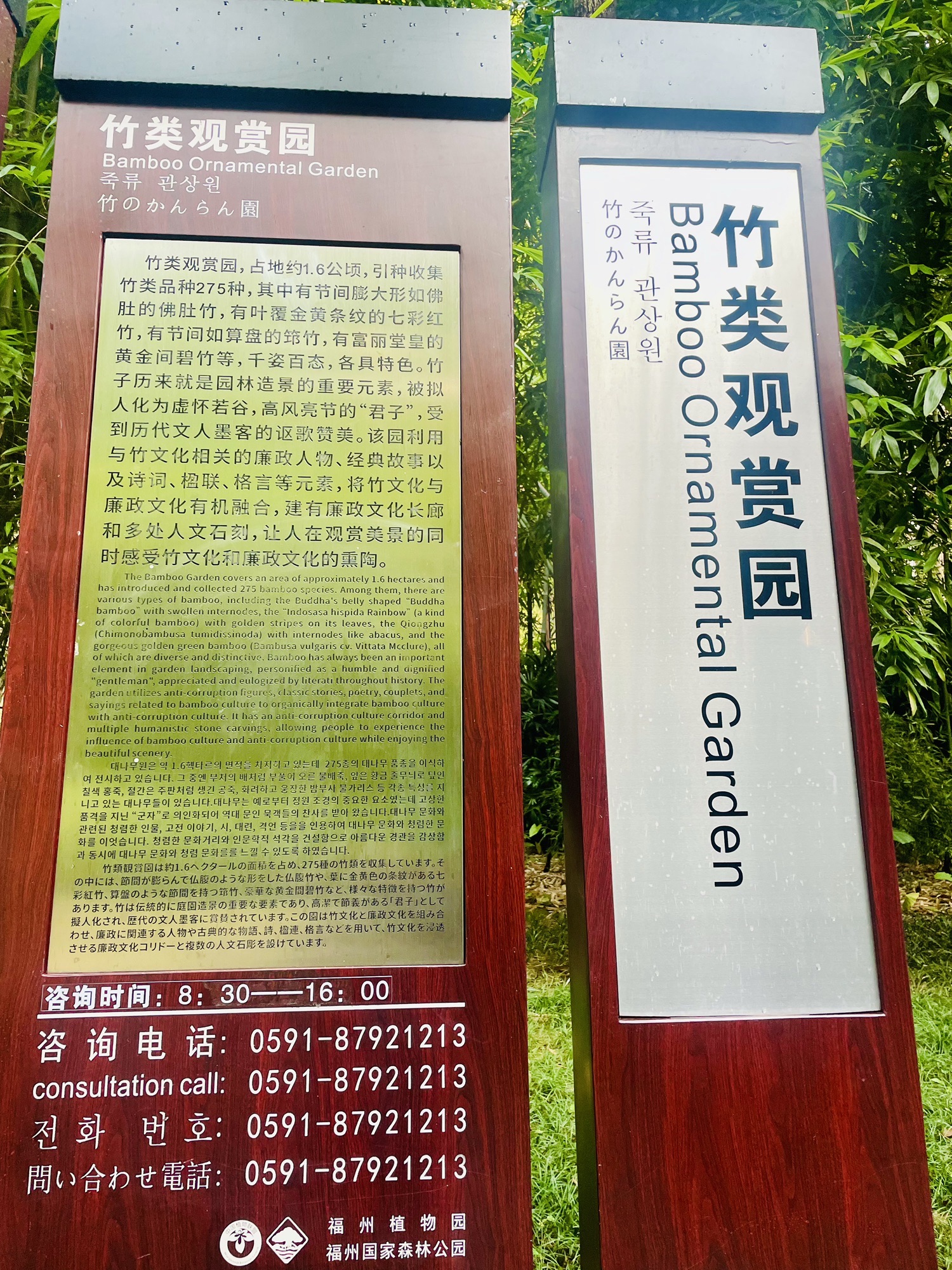 福州国家森林公园旅行图片 3