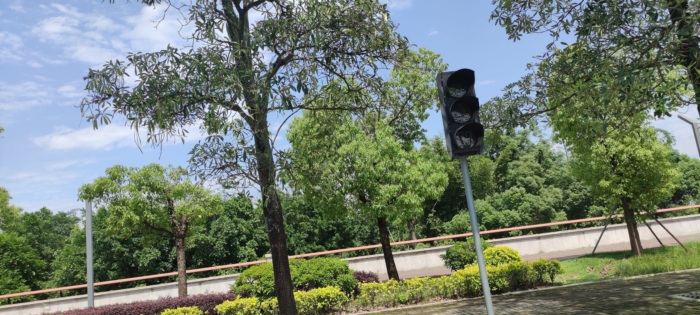 福州国家森林公园旅行图片 3