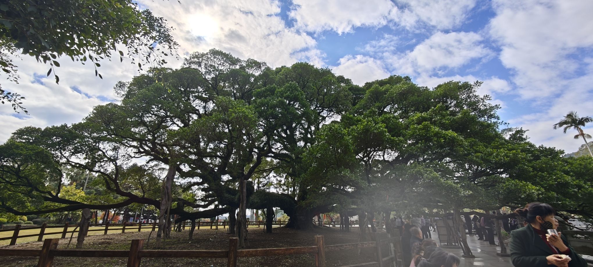 福州国家森林公园旅行图片 1