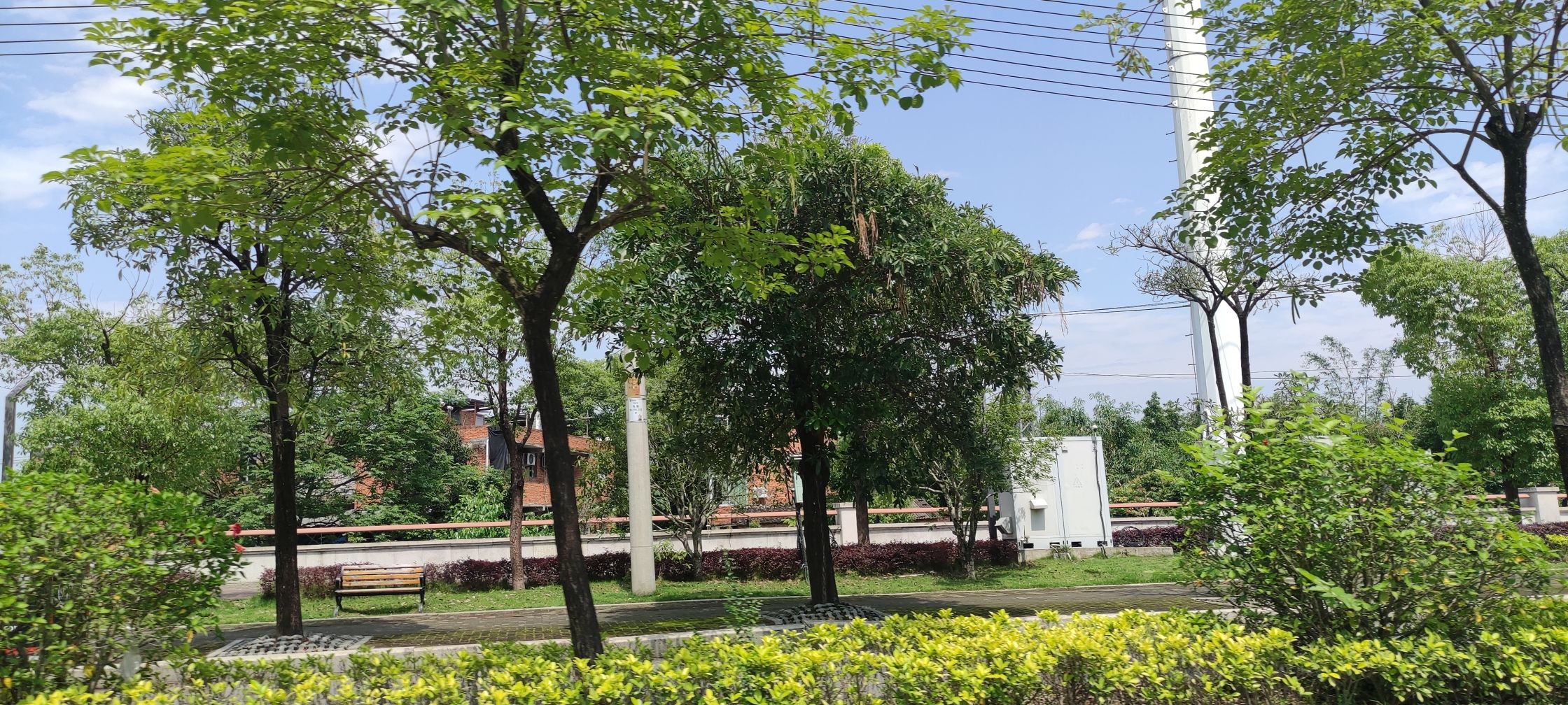 福州国家森林公园旅行图片 2