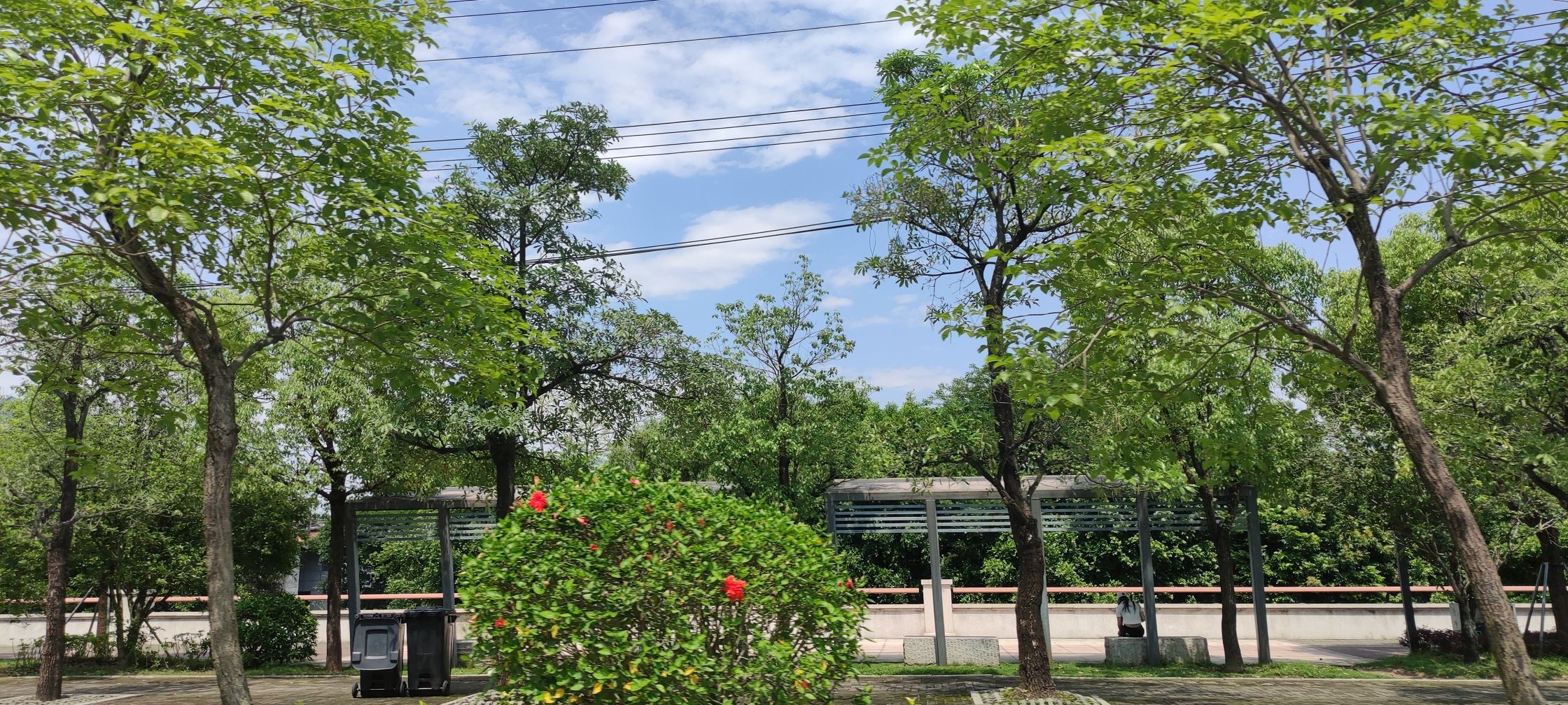 福州国家森林公园旅行图片 1