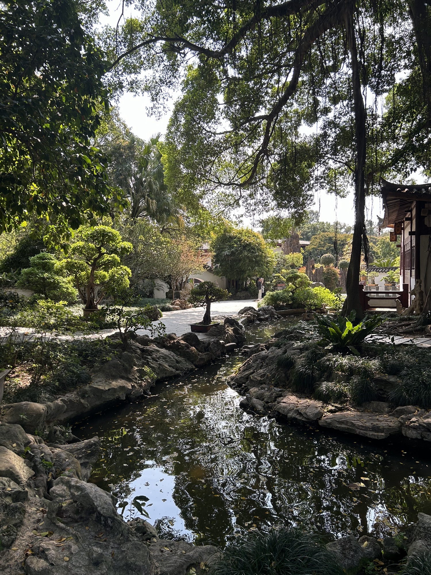 西湖公园旅行图片 2