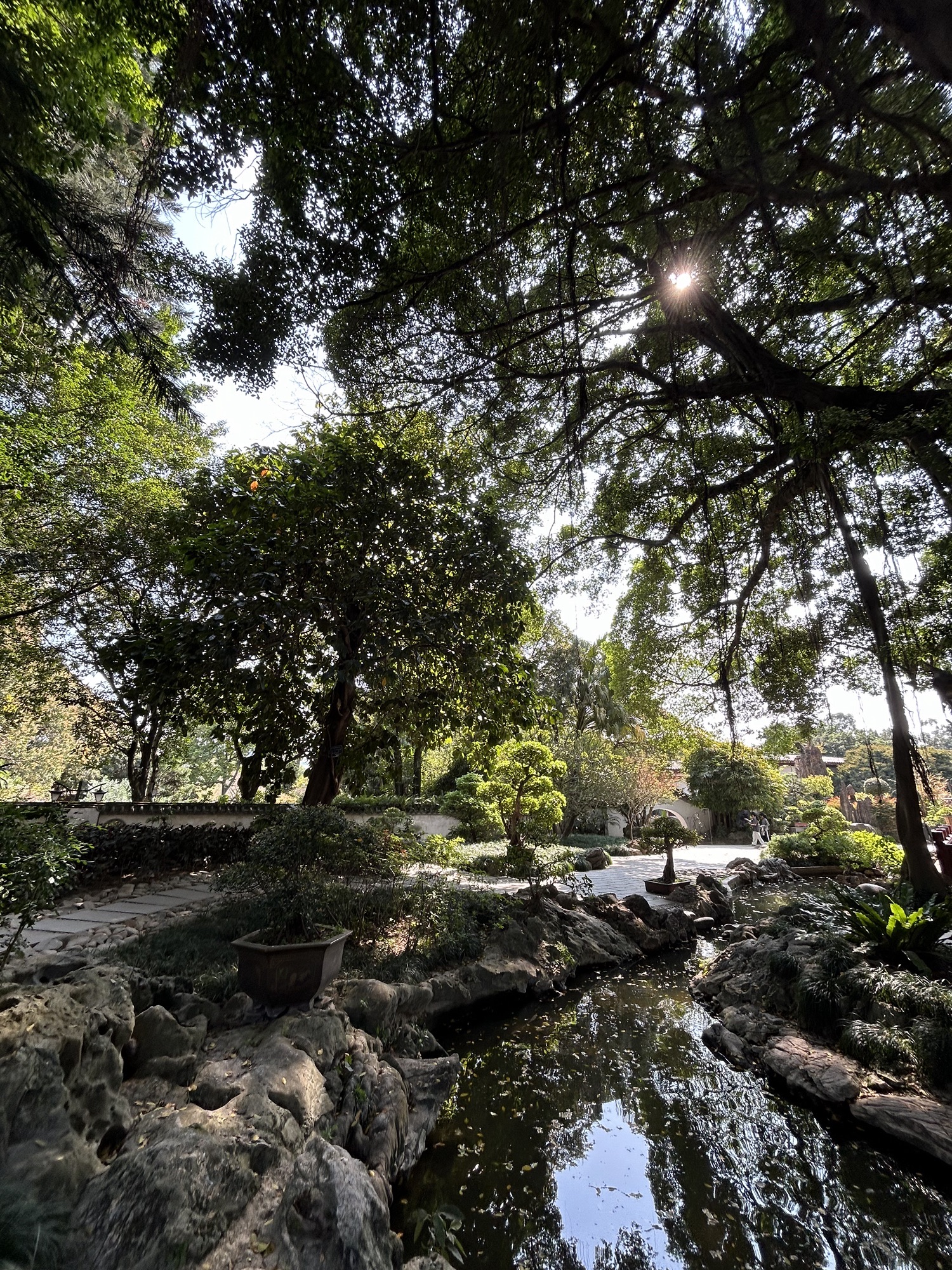 西湖公园旅行图片 1