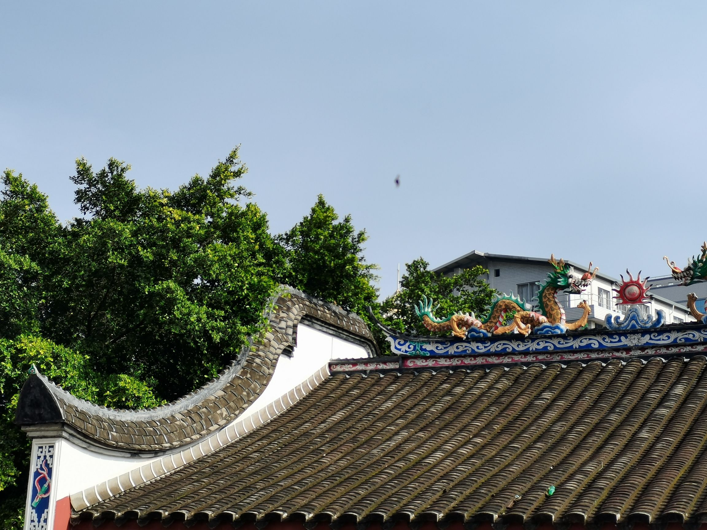 西湖公园旅行图片 2
