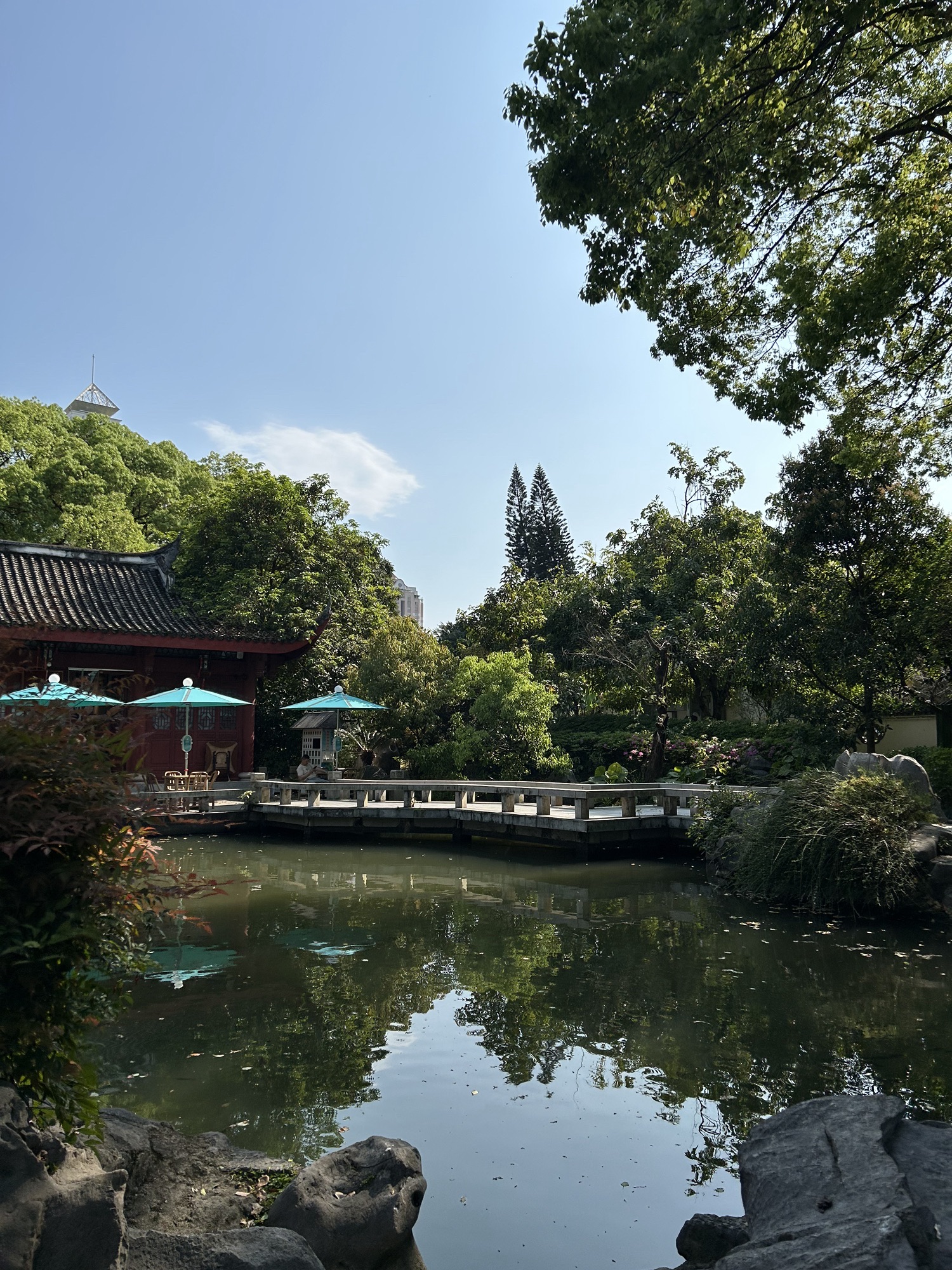 西湖公园旅行图片 3