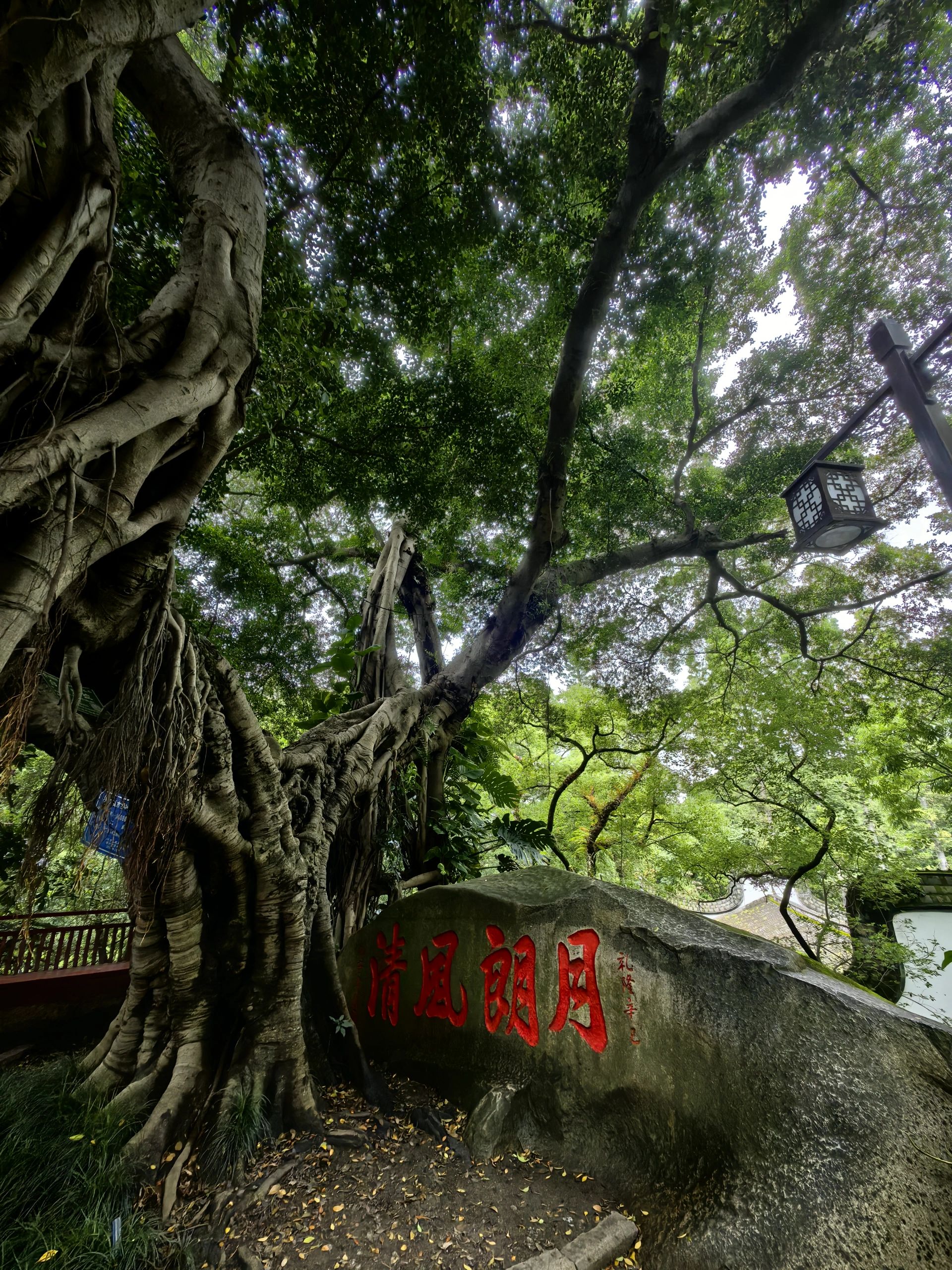 于山风景名胜公园旅行图片 2