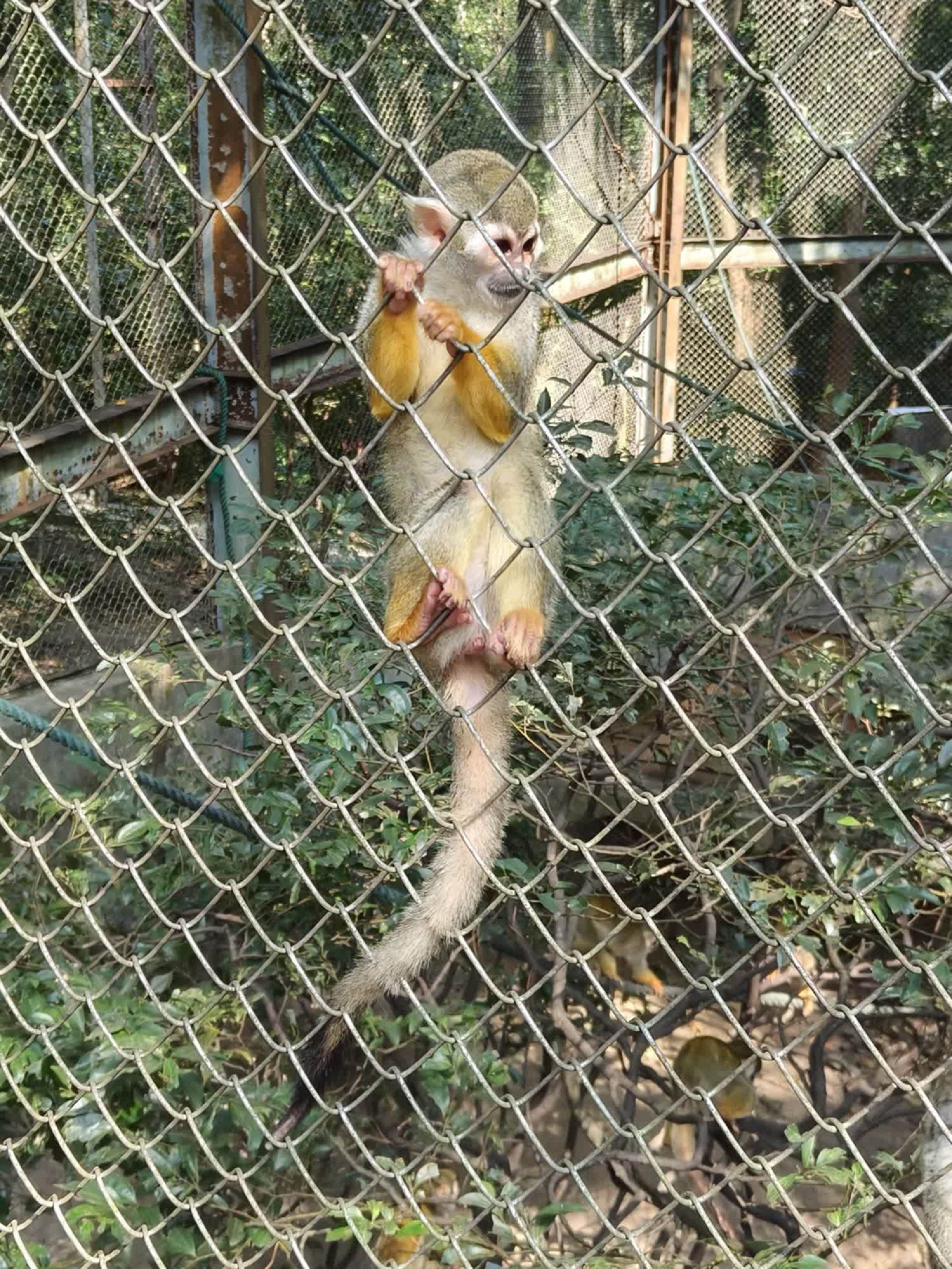 福州动物园旅行图片 1