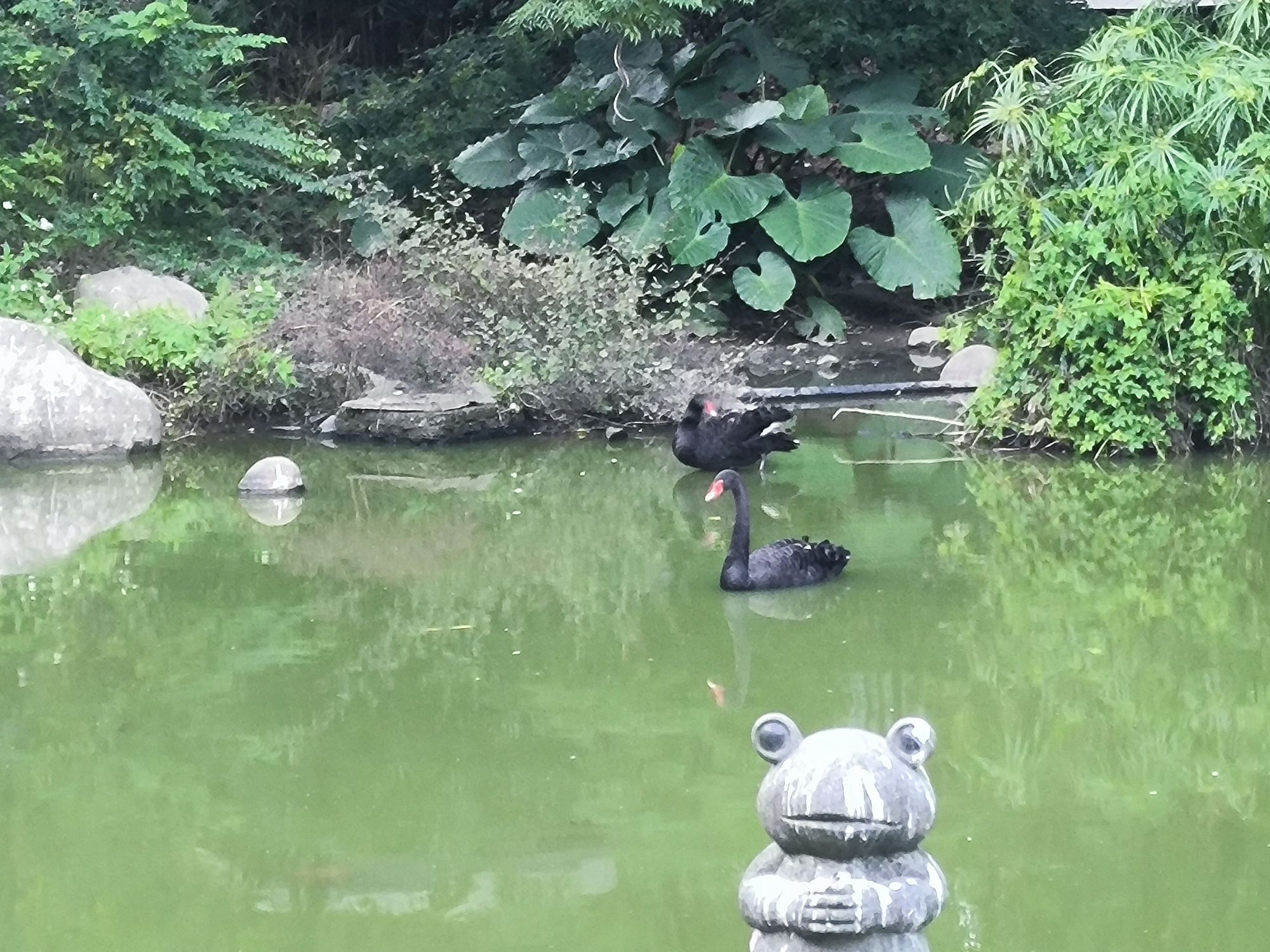 福州动物园旅行图片 1