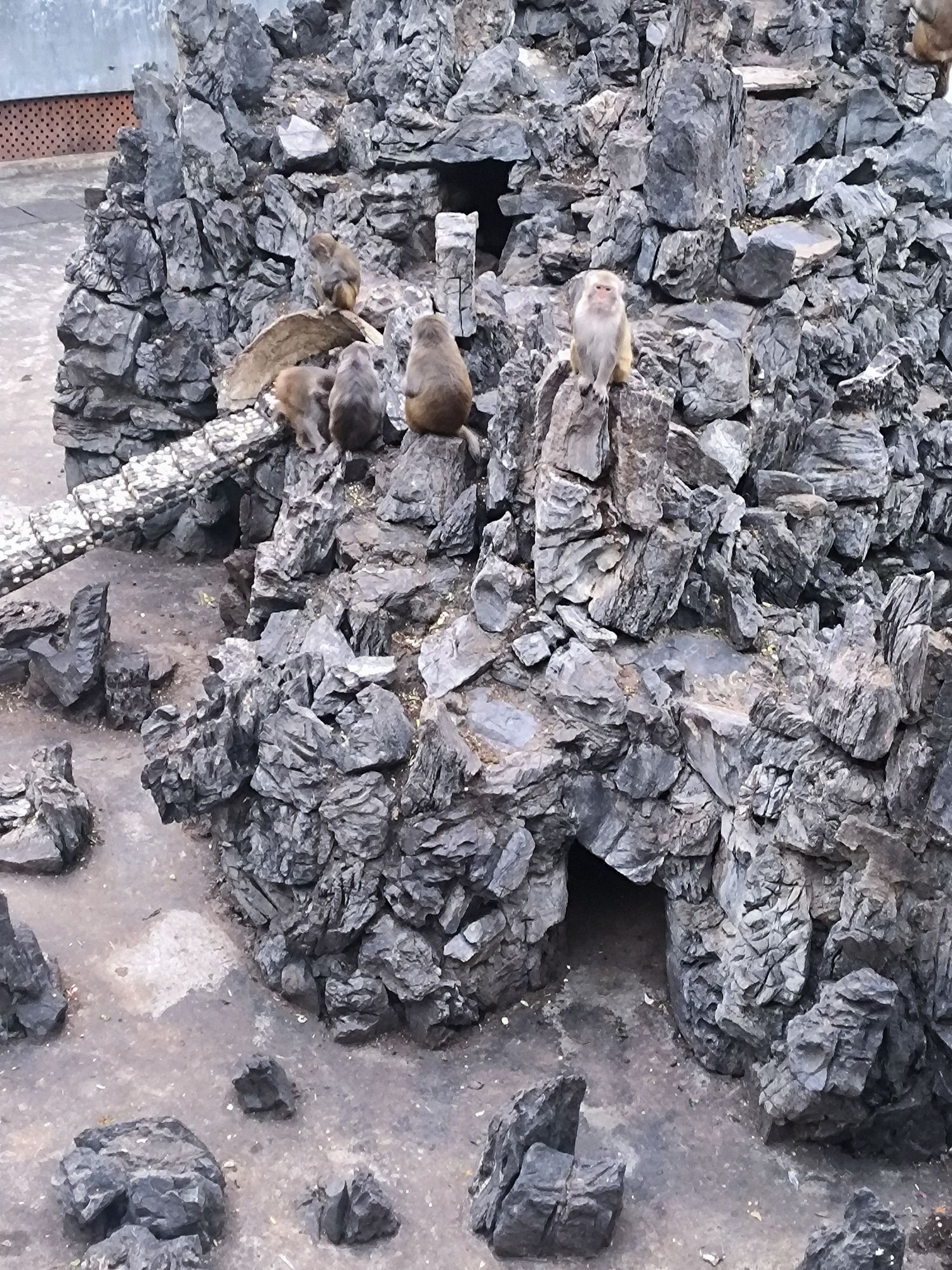 福州动物园旅行图片 3